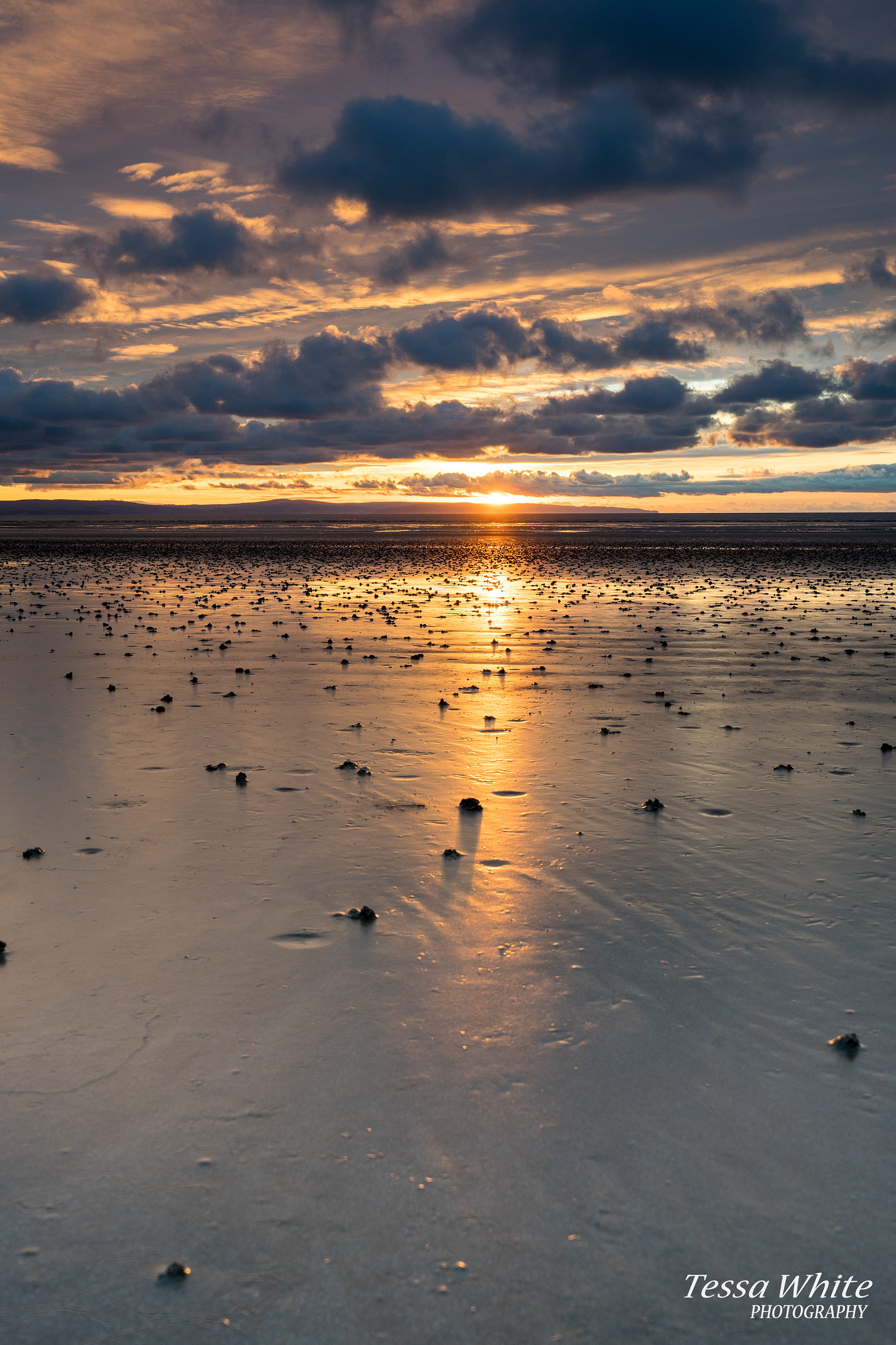 L010             Bream Sands, Somerset