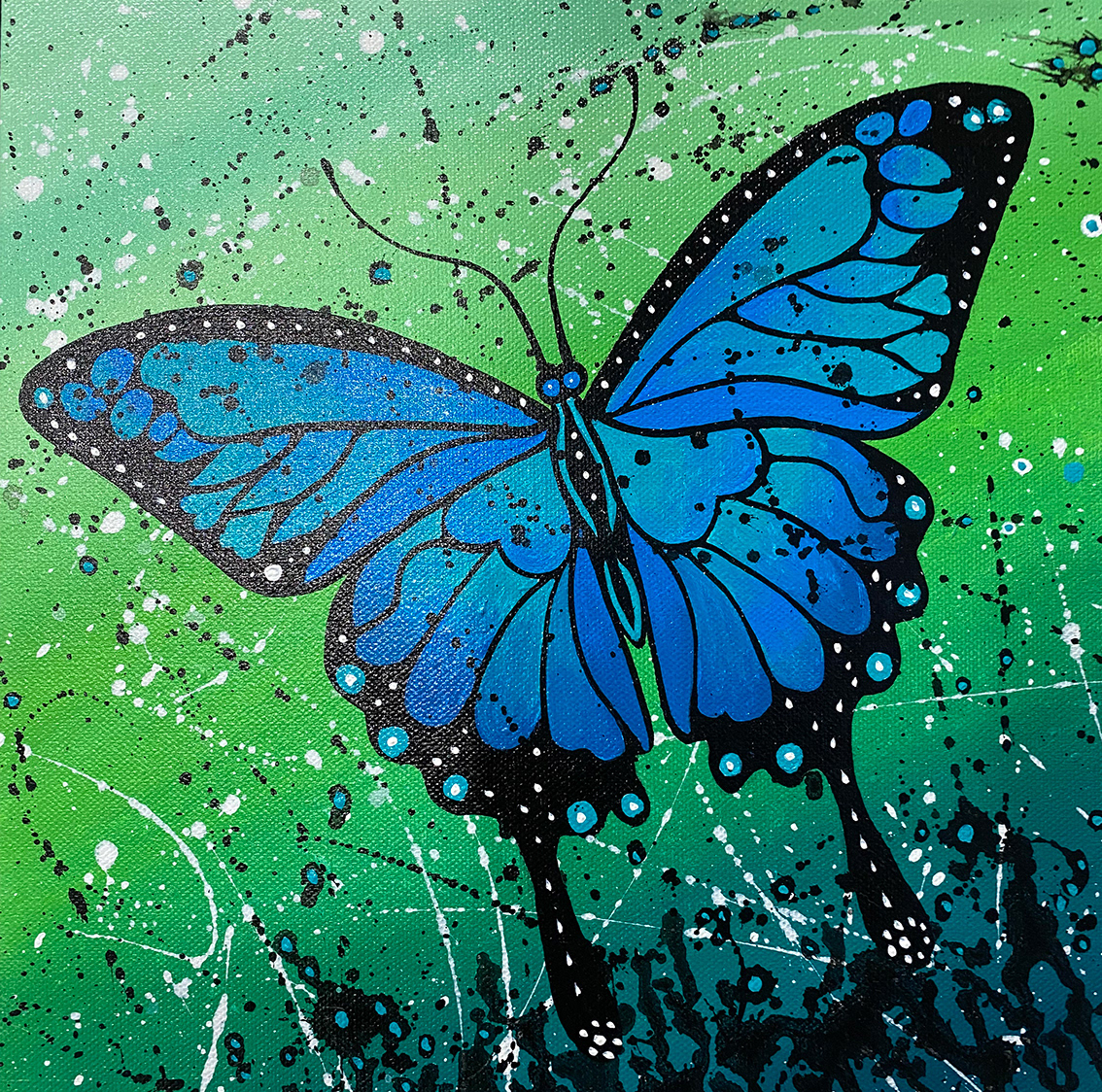 Butterfly