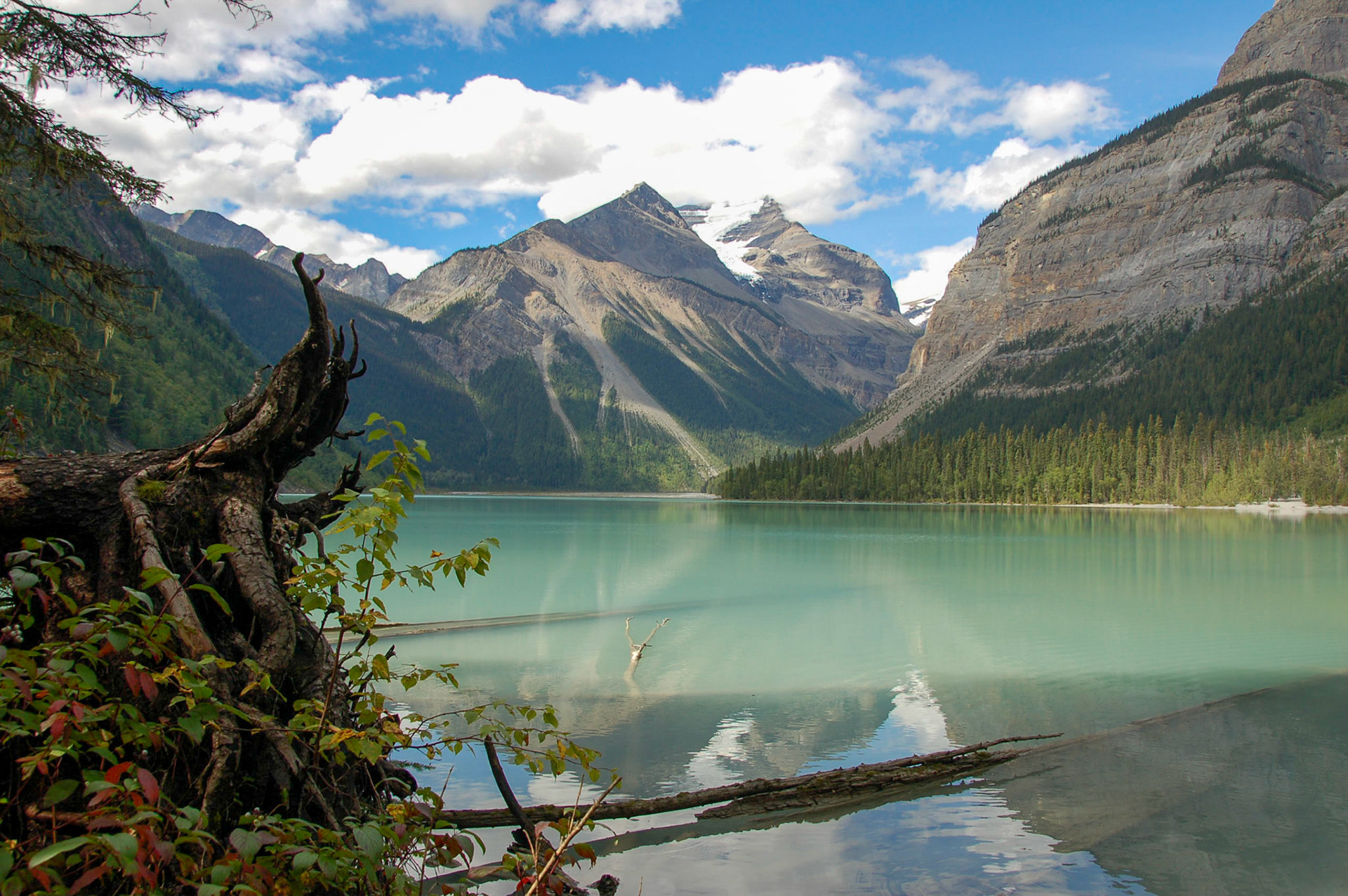 2013-08-31 (Mount Robson)\D50_0442.JPG