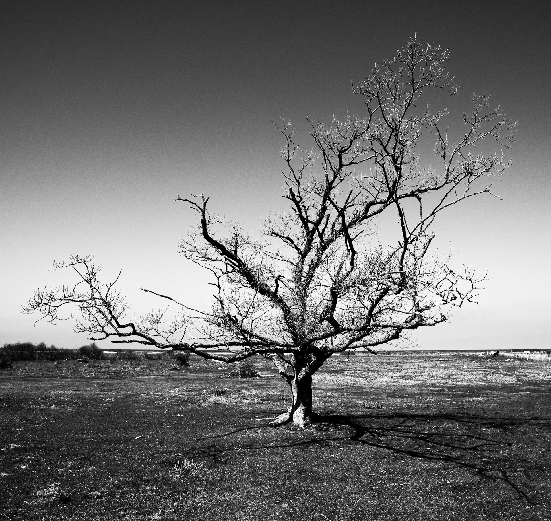 Korshage, Nykøbing Sj.