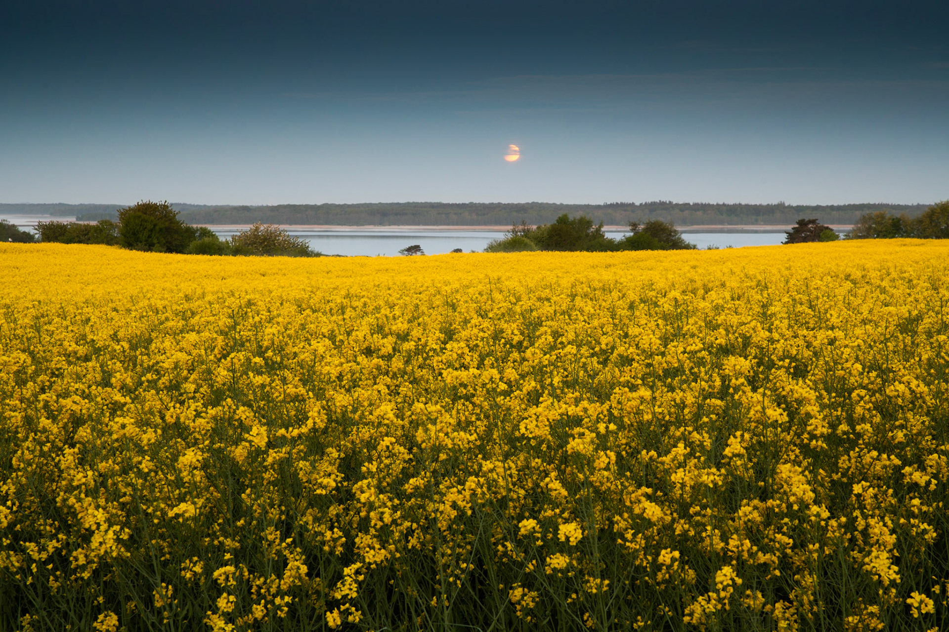 Måneformørkelse, Ølsted