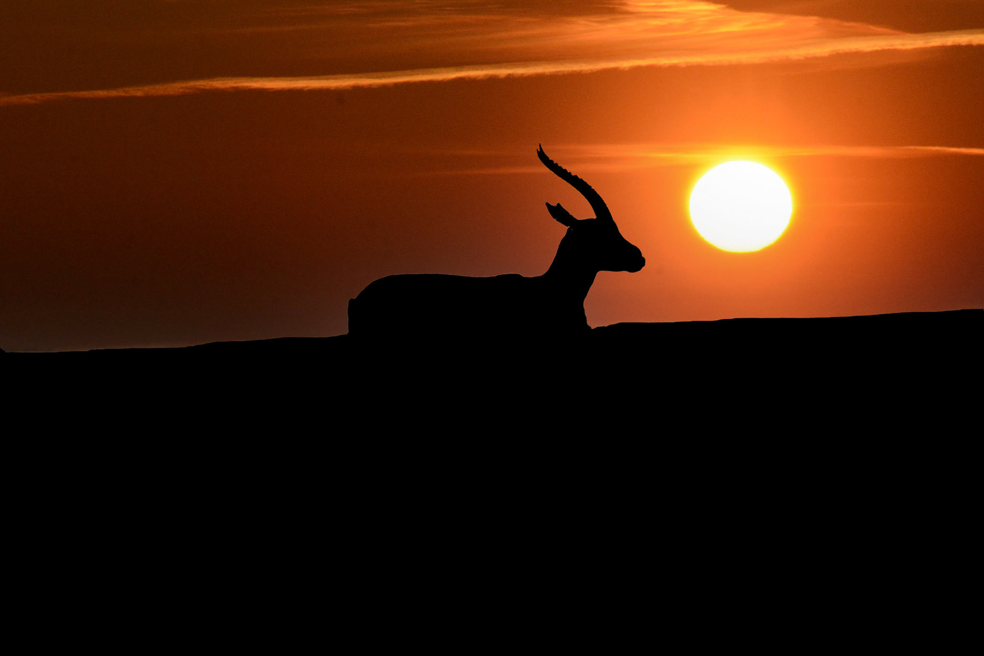 Antaget. HFK. Årets fotograf 2023. Papir. Flotte farver. Intet brænder