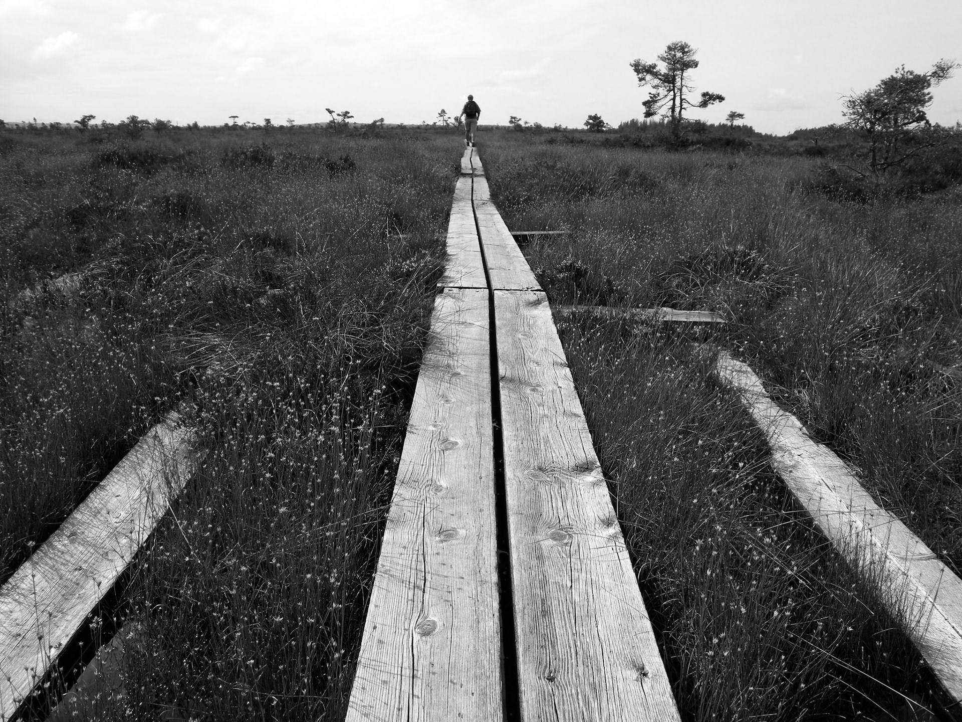 Højmose, Småland, Sverige