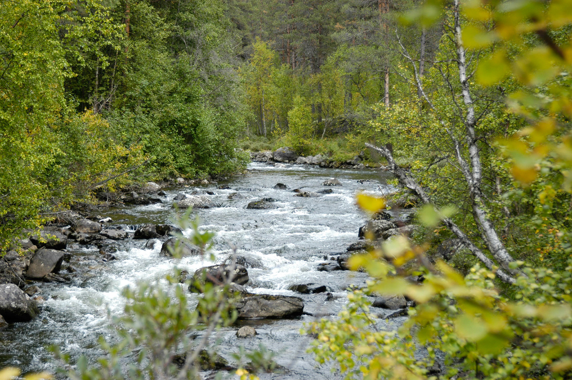 2003-09-Jubilæumstur Ruten\2003-0061-Ruten.JPG