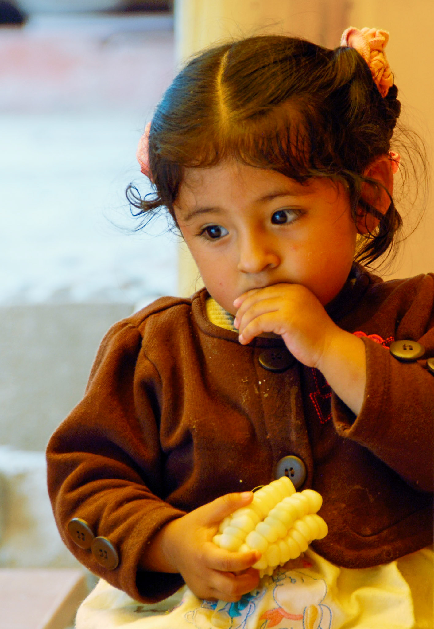 Peru (Aguas Calientes, Machu Picchu)