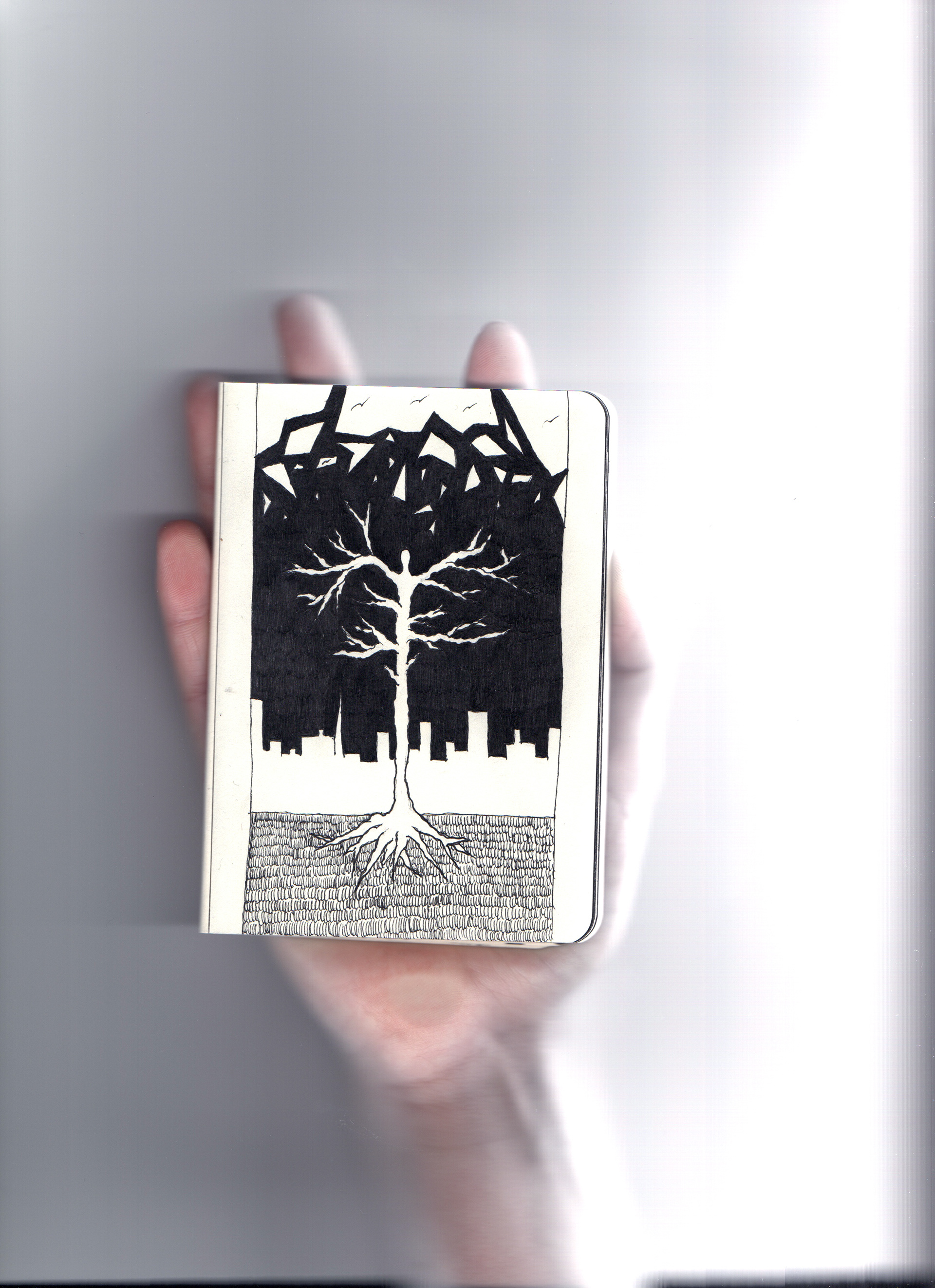 Alberi