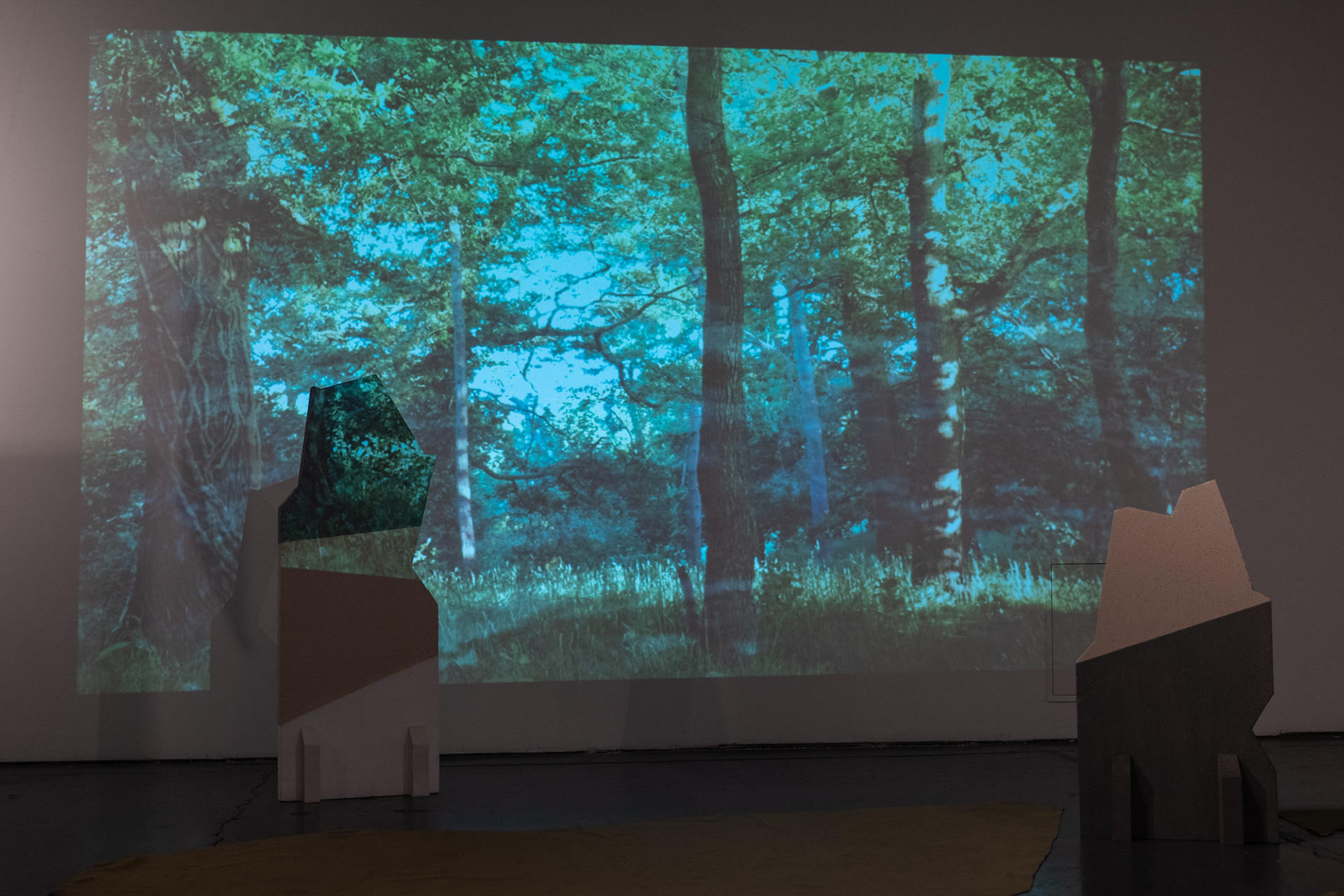 Image by Hayley Salter