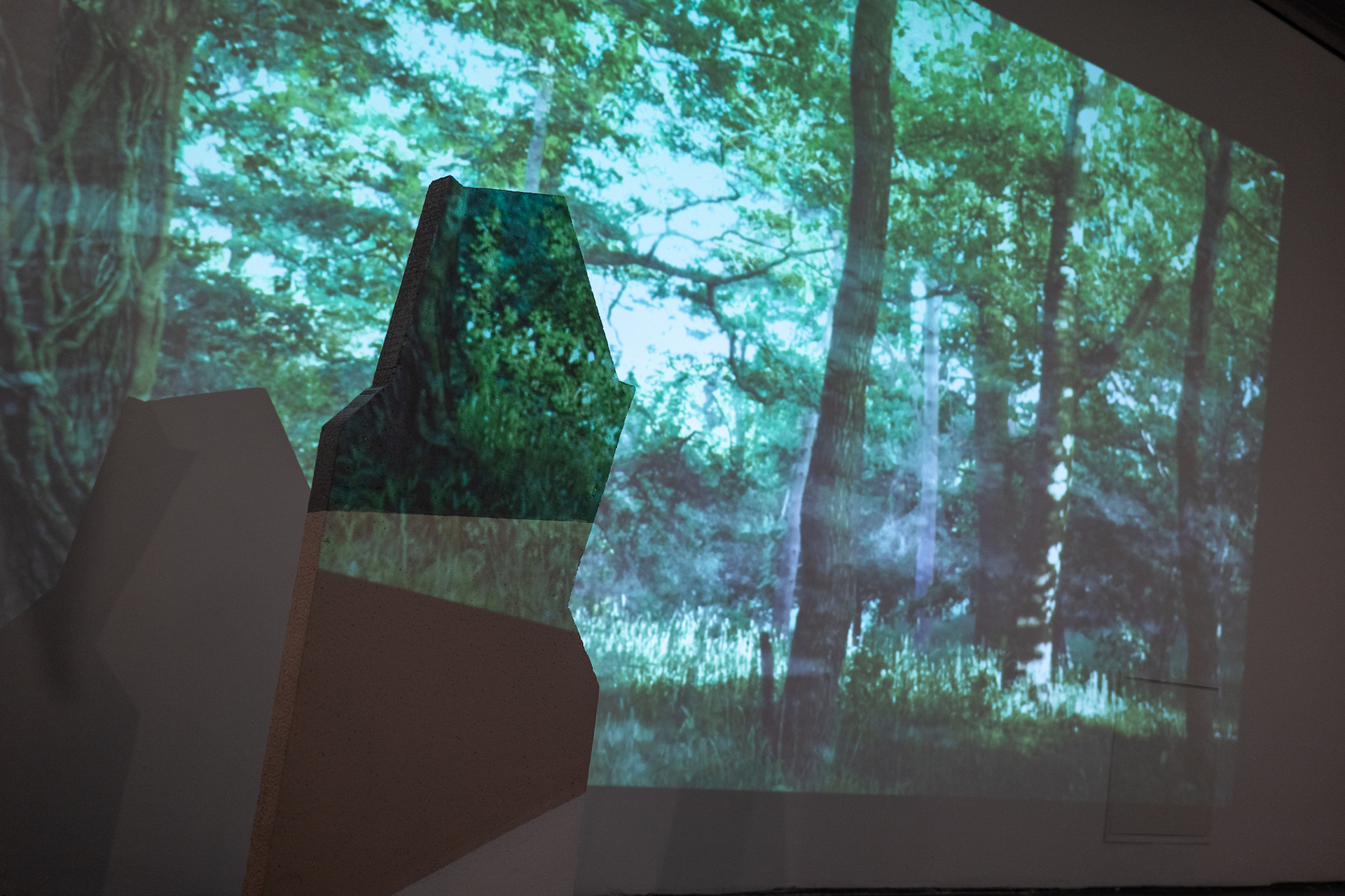 Image by Hayley Salter