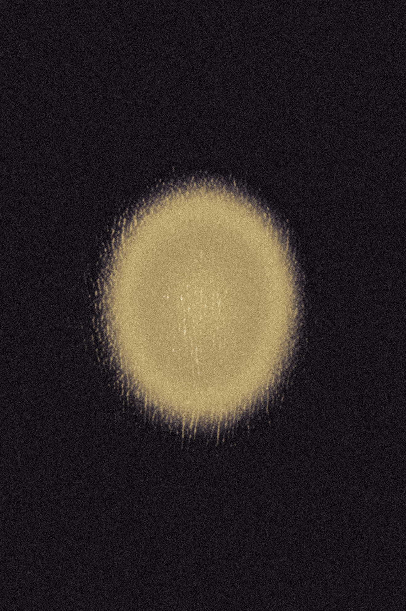 Untitled Abstract form of light casting on earth