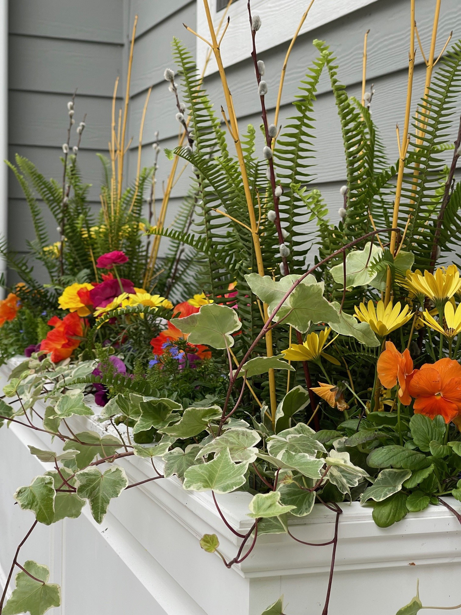 Styling and Seasonal Annuals