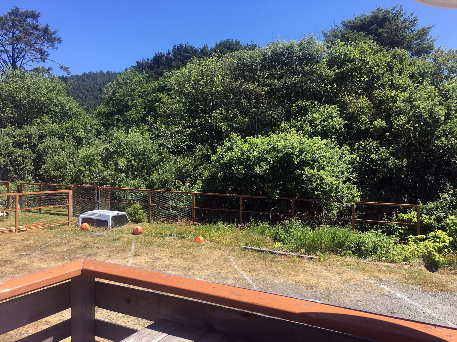 Property backs to private riparian (protected wetlands)