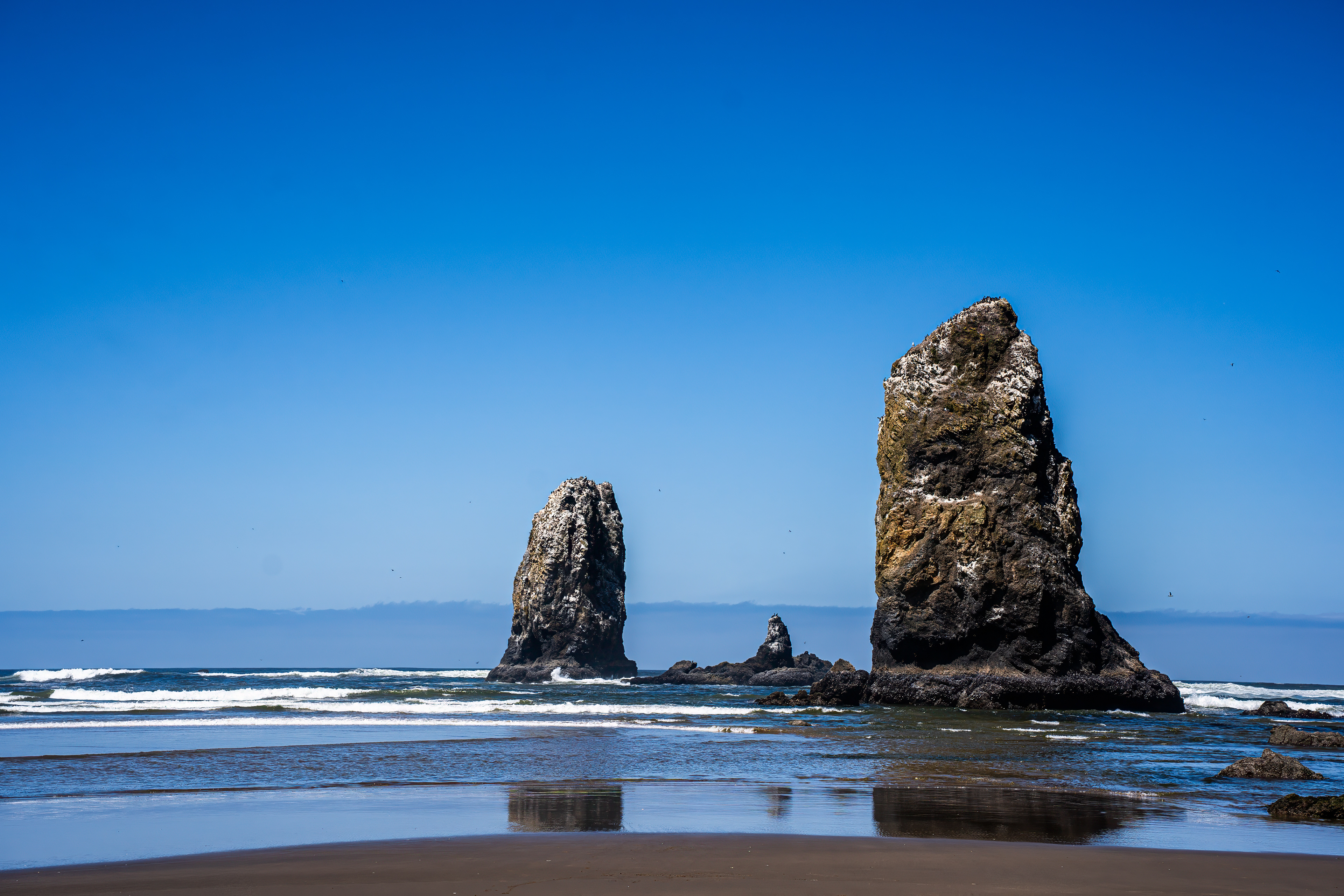 Oregon Coastline, 2026