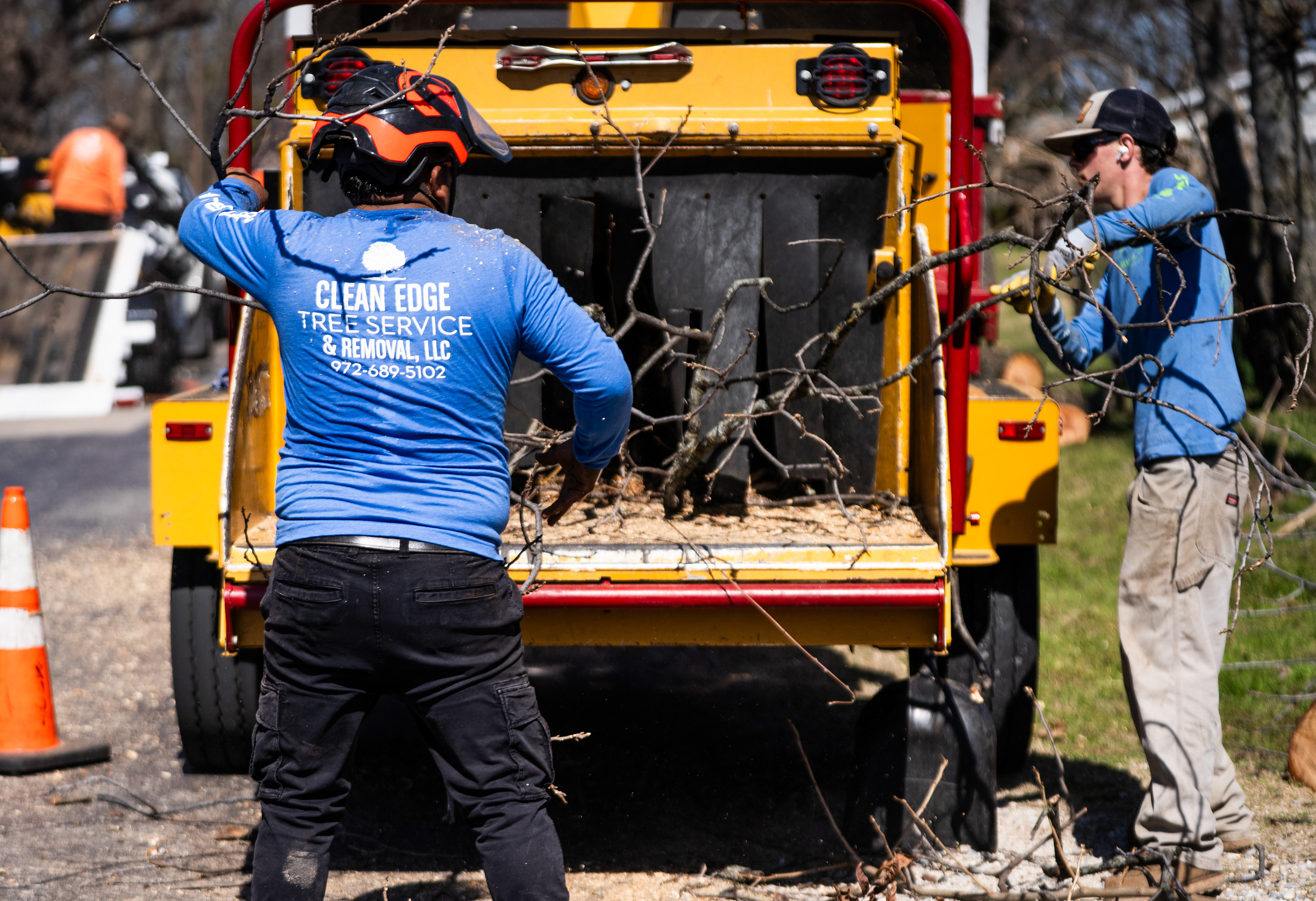 Clean Edge Tree Service - 2026