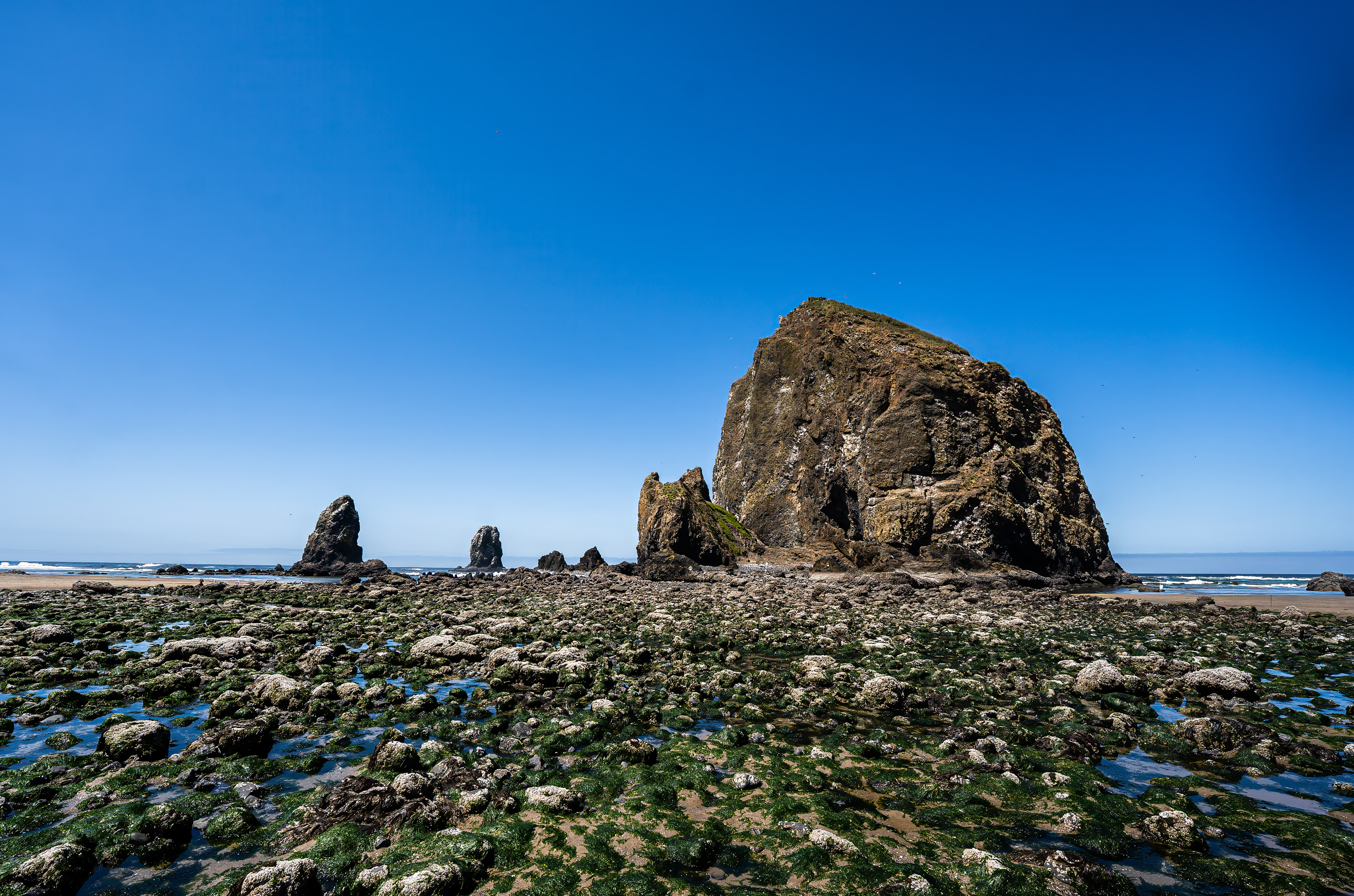 Haystack Rock, 2026