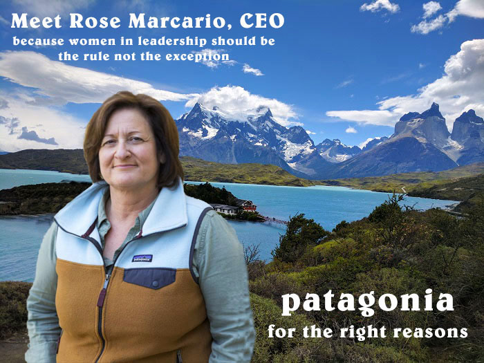 Patagonia Rebranding Campaign
