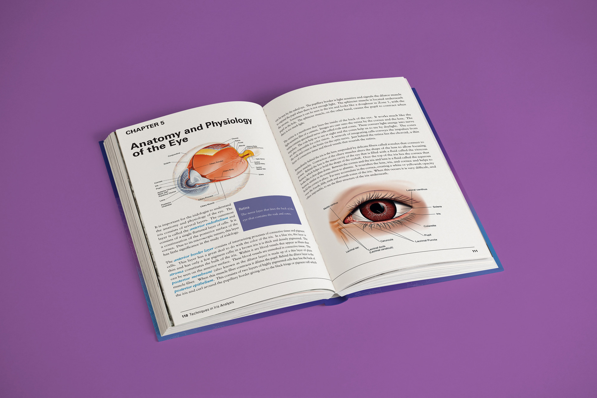 Page layout example showing illustrations