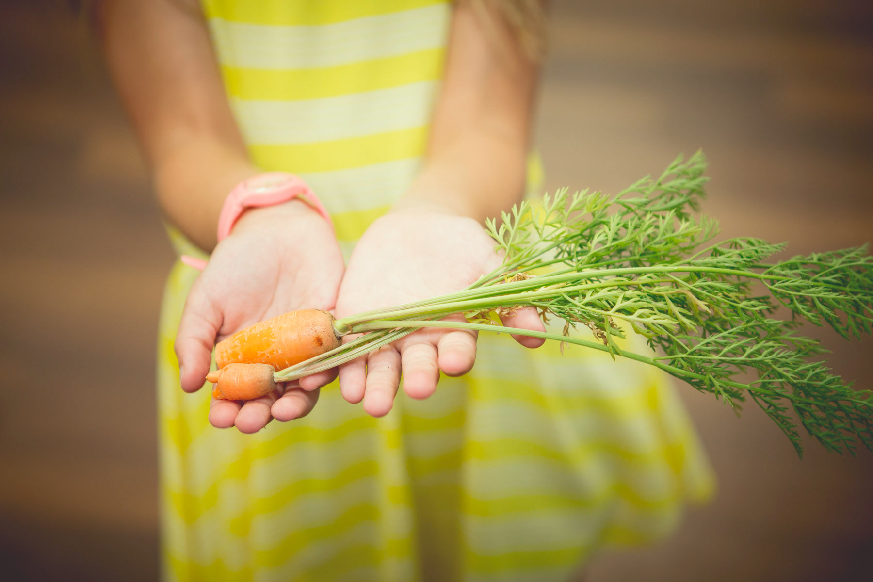Schools have a garden where students grow vegetables