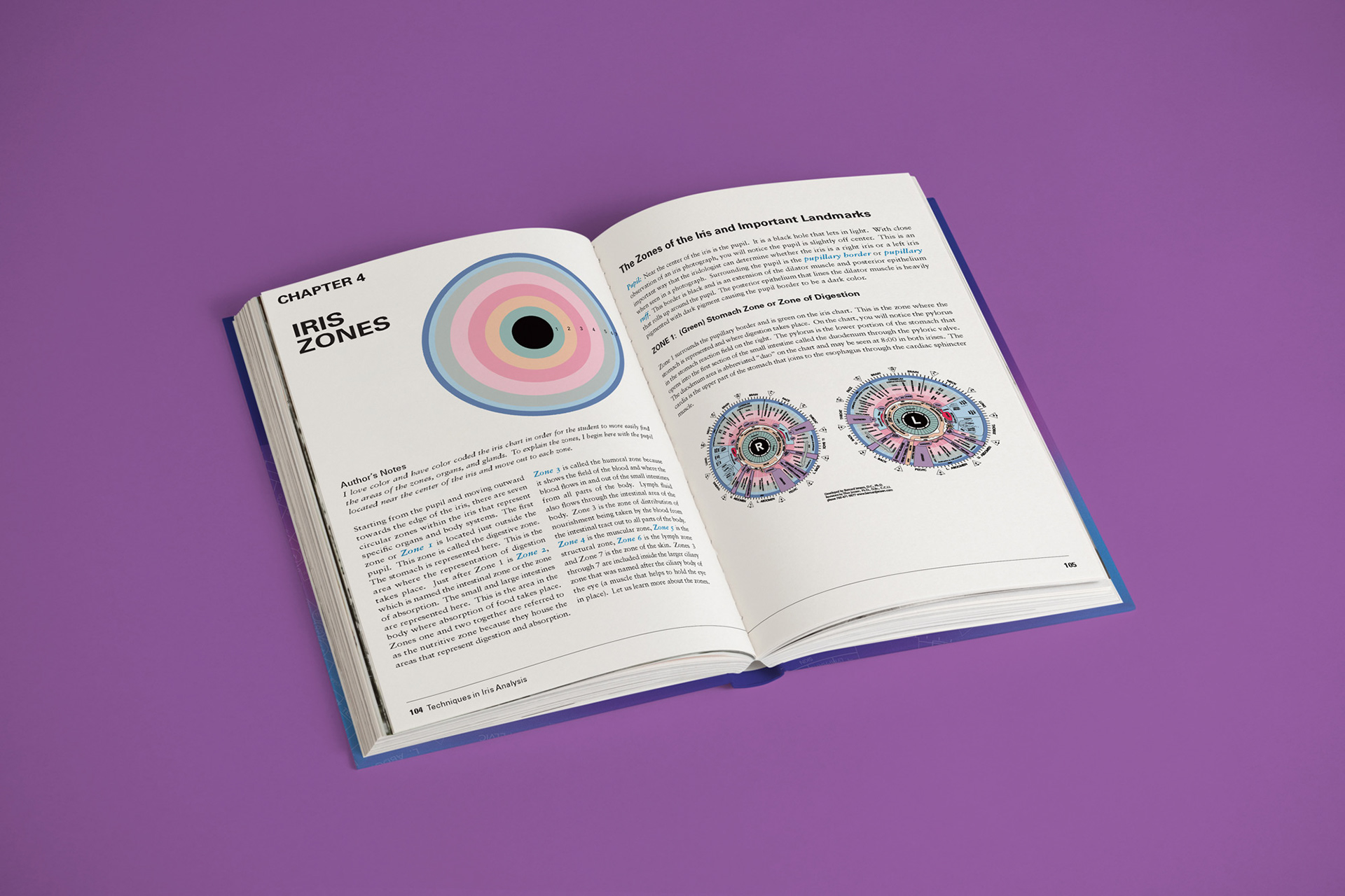 Page layout showcasing the iridology chart