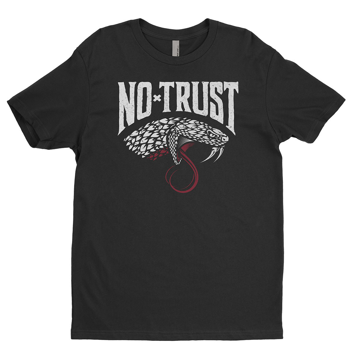 Band merch t-shirt example
