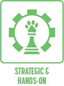 Clear thinking, backed by action.