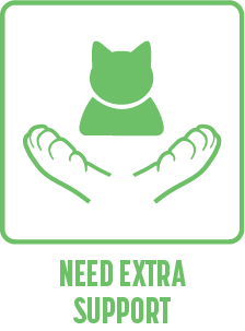 Additional help alongside you or your team.