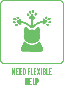 Support for projects, campaigns, or busy periods.