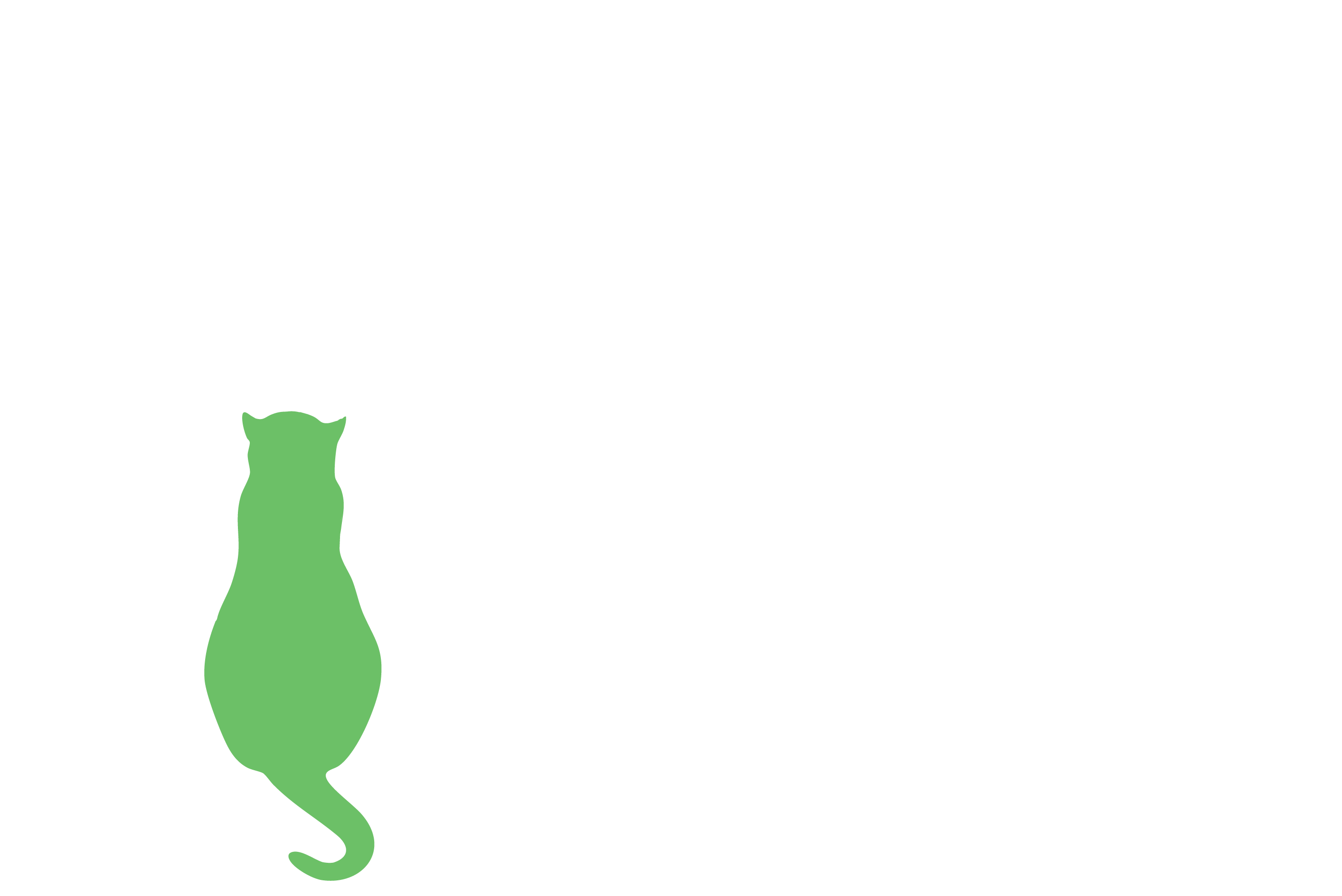 Creative Cat - Your Marketing Partner