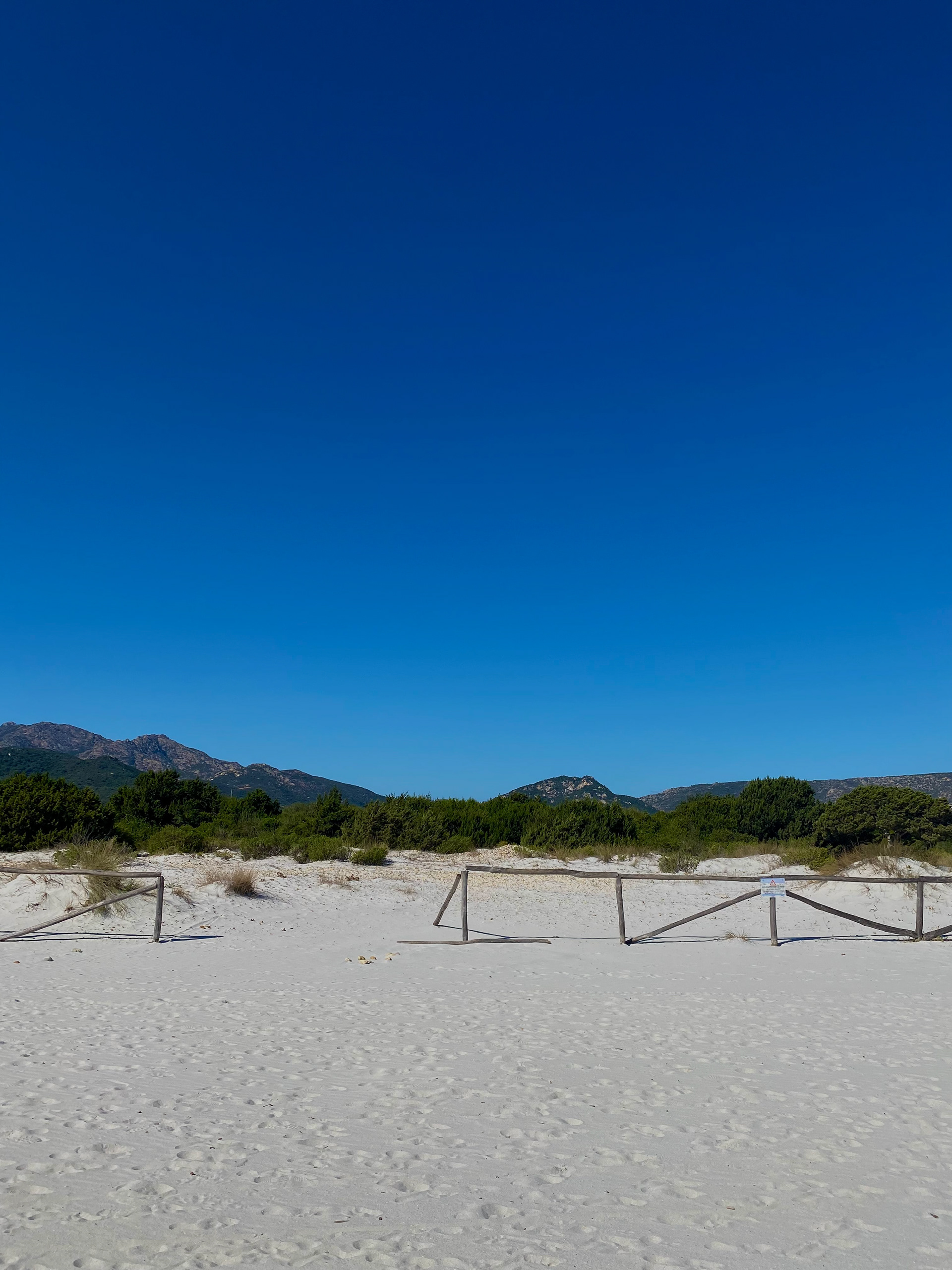 Photography / Foto  / Design / Madeline Müller / Grafik Design / graphic design / Illustration 
