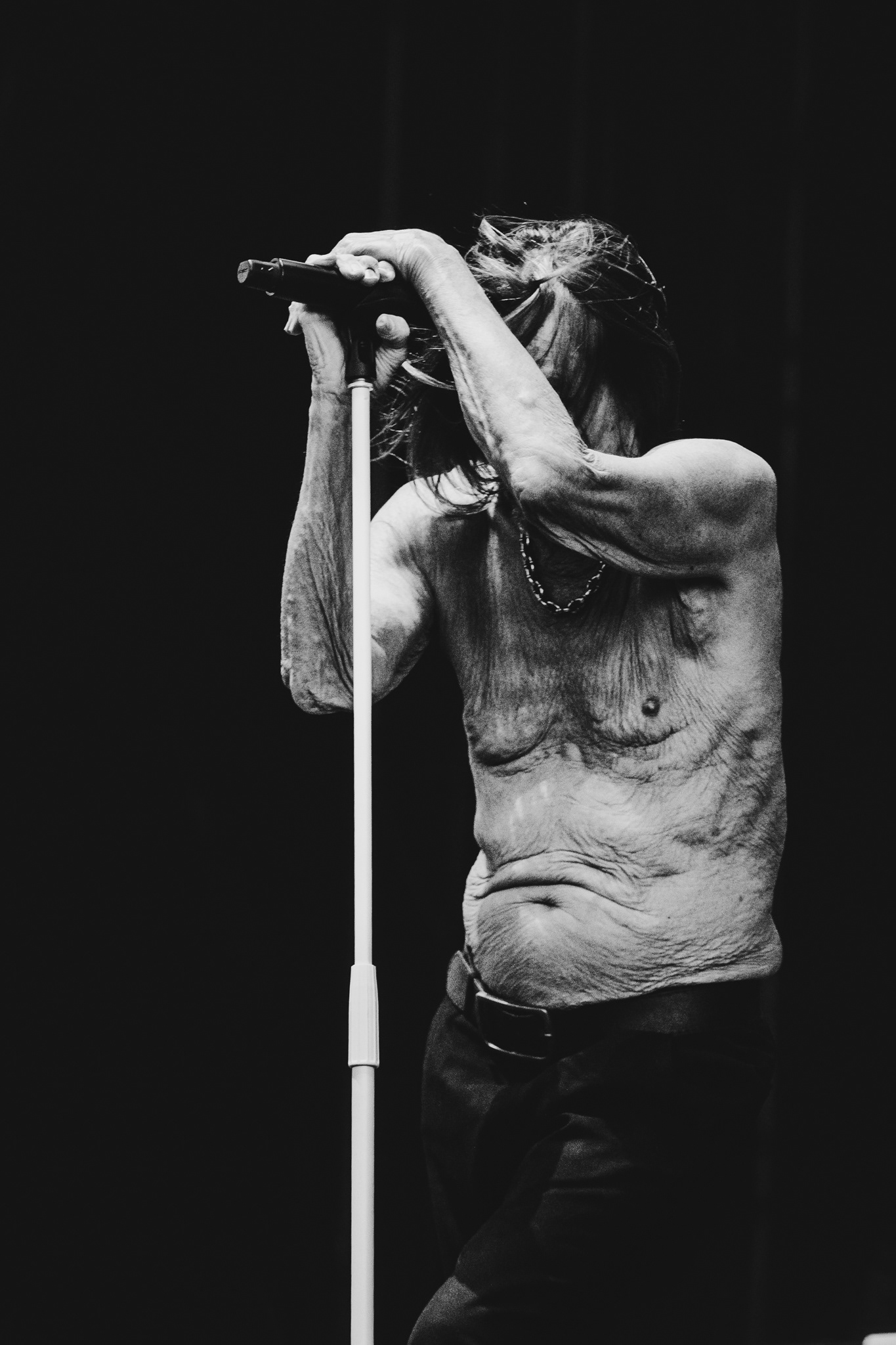 Iggy Pop, Madcool