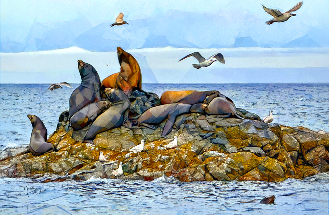 Sea Lions Neck Point Park VI Series #64