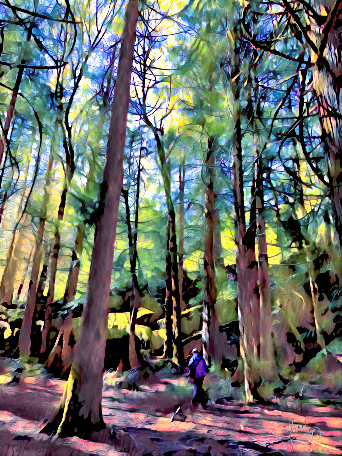 Colliery Dam Park VI Series #22