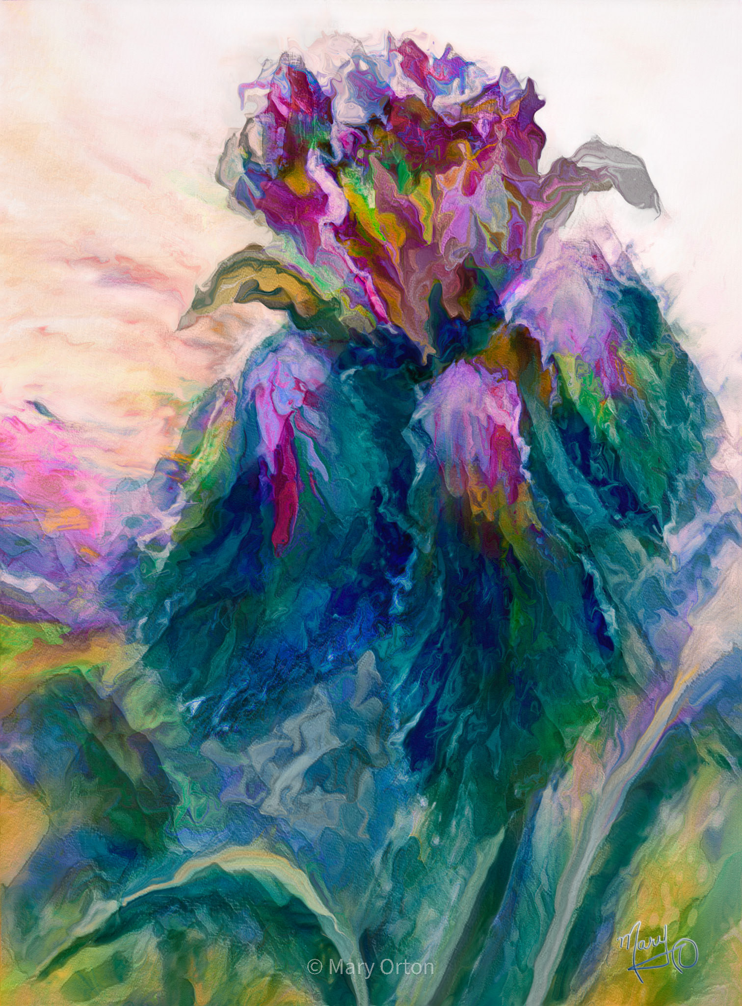 Iris