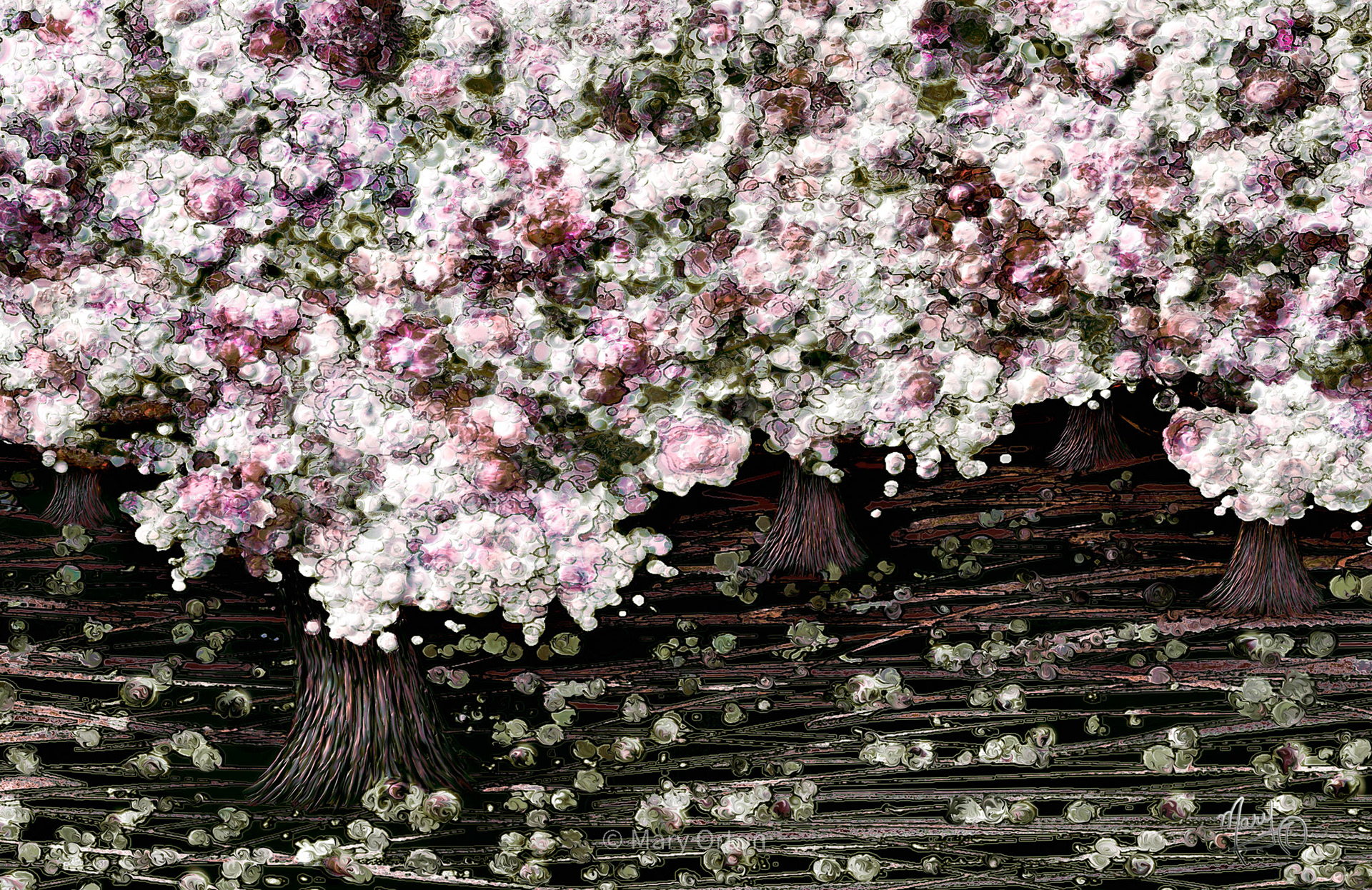 Blossom Time