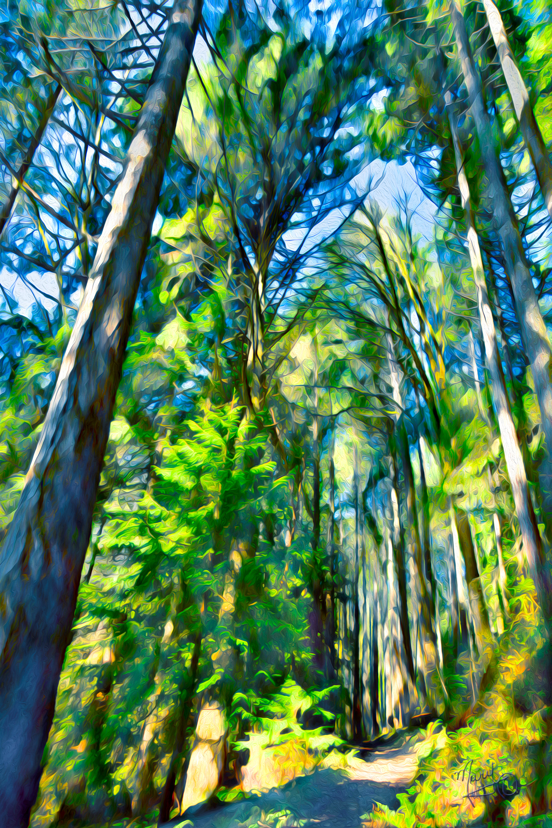 Linley Valley Trail VI Series #21