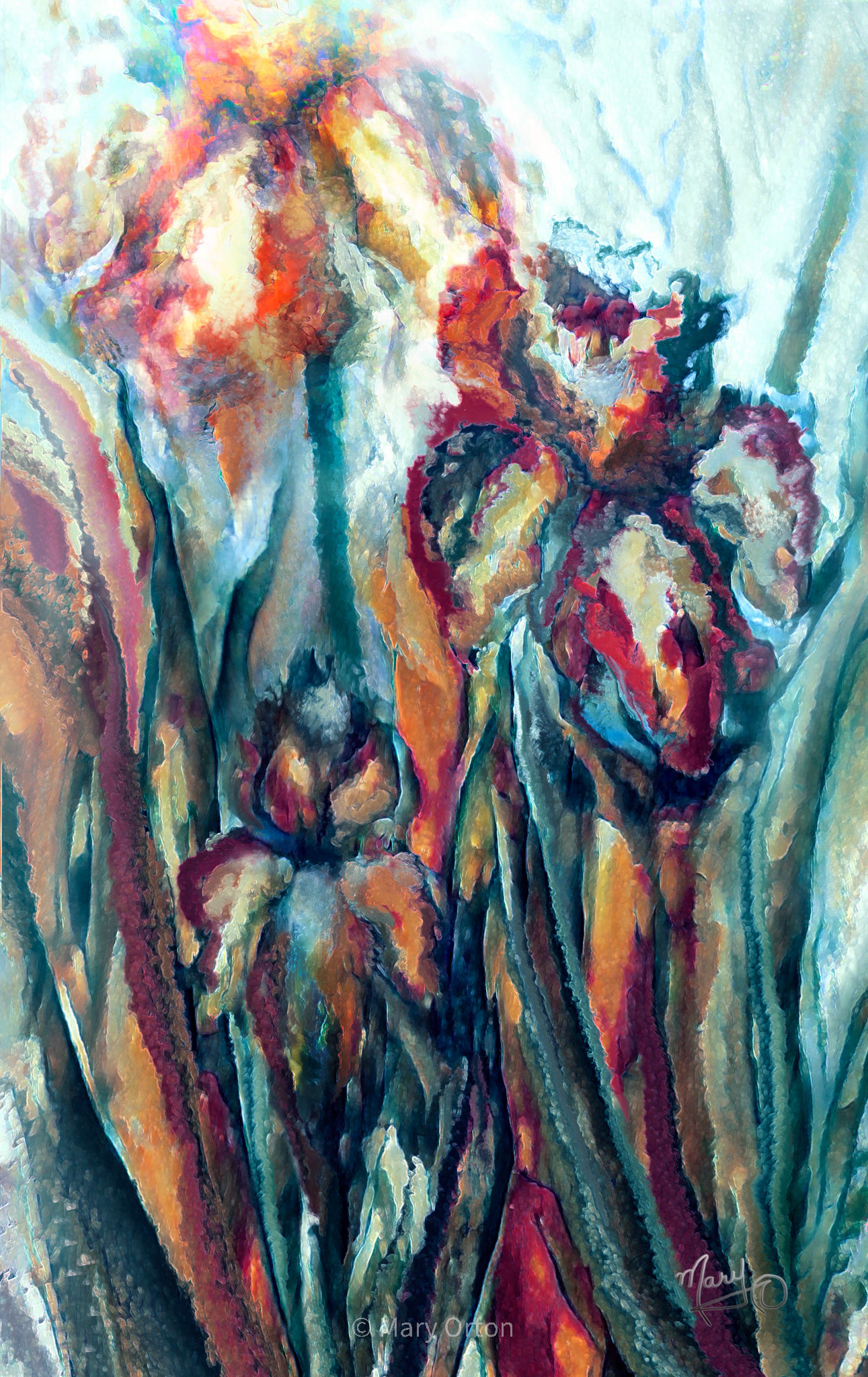 Irises