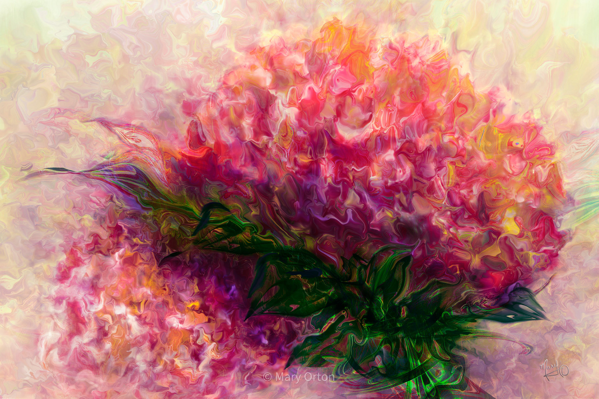 Hydrangeas