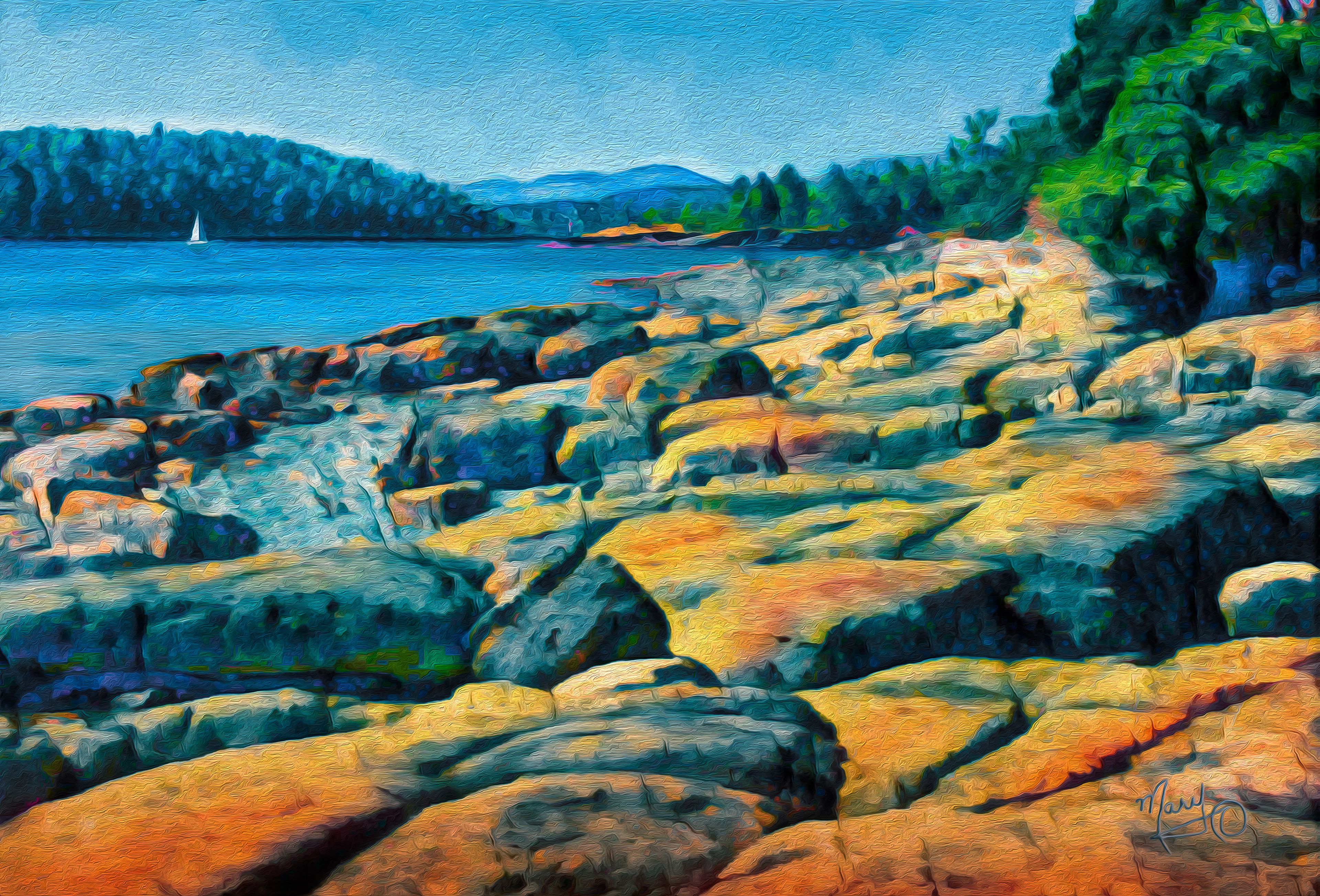 From Stephenson Point VI Series #16