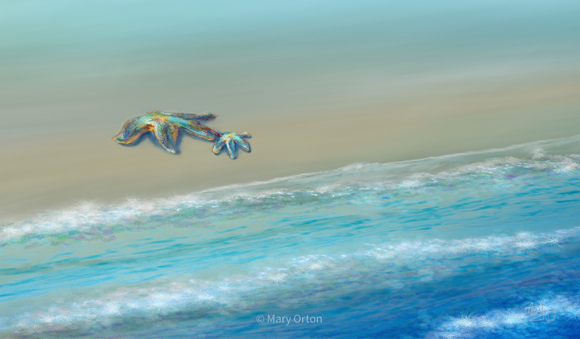 Seashore