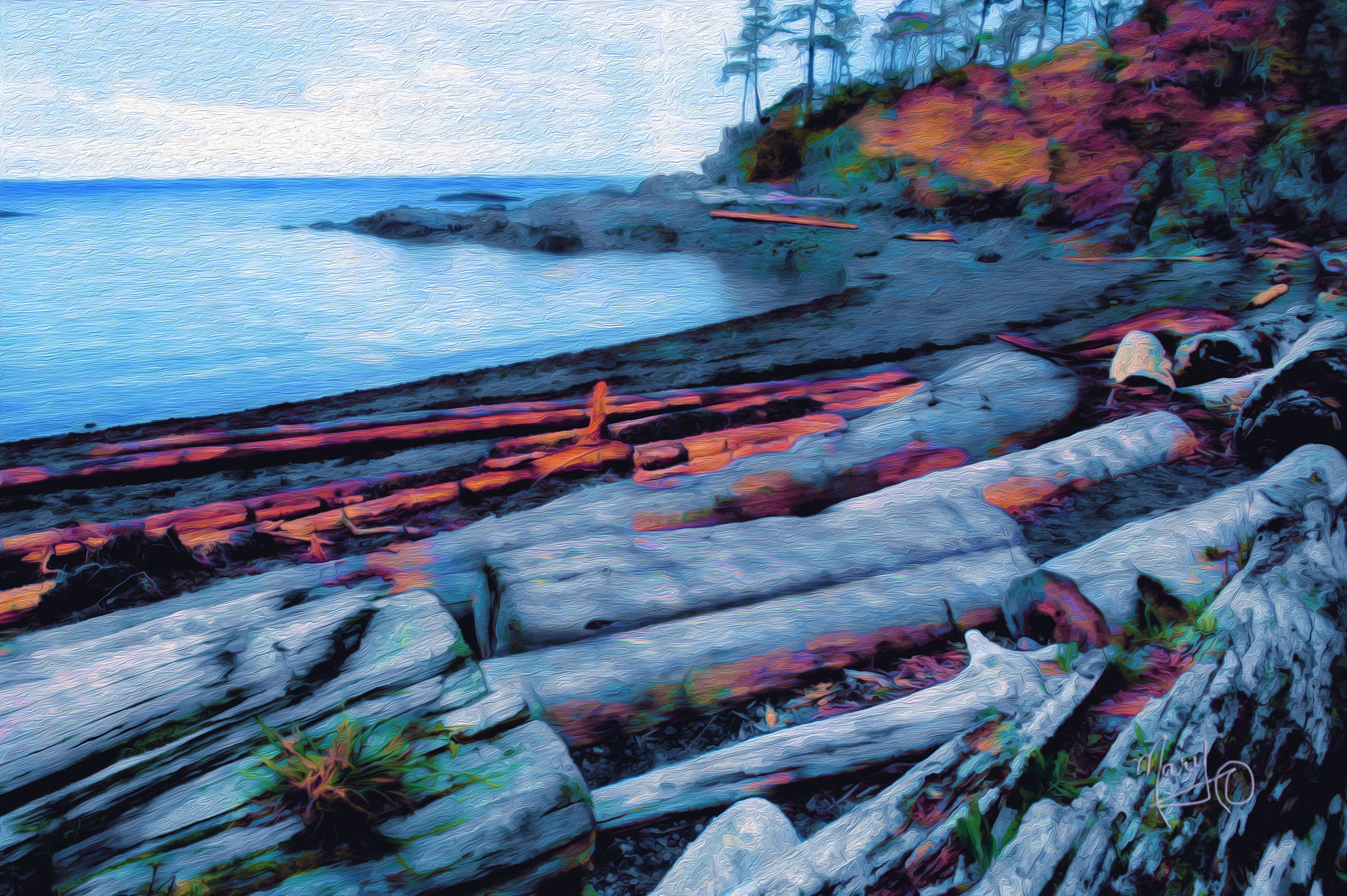 Neck Point Park VI Series #5