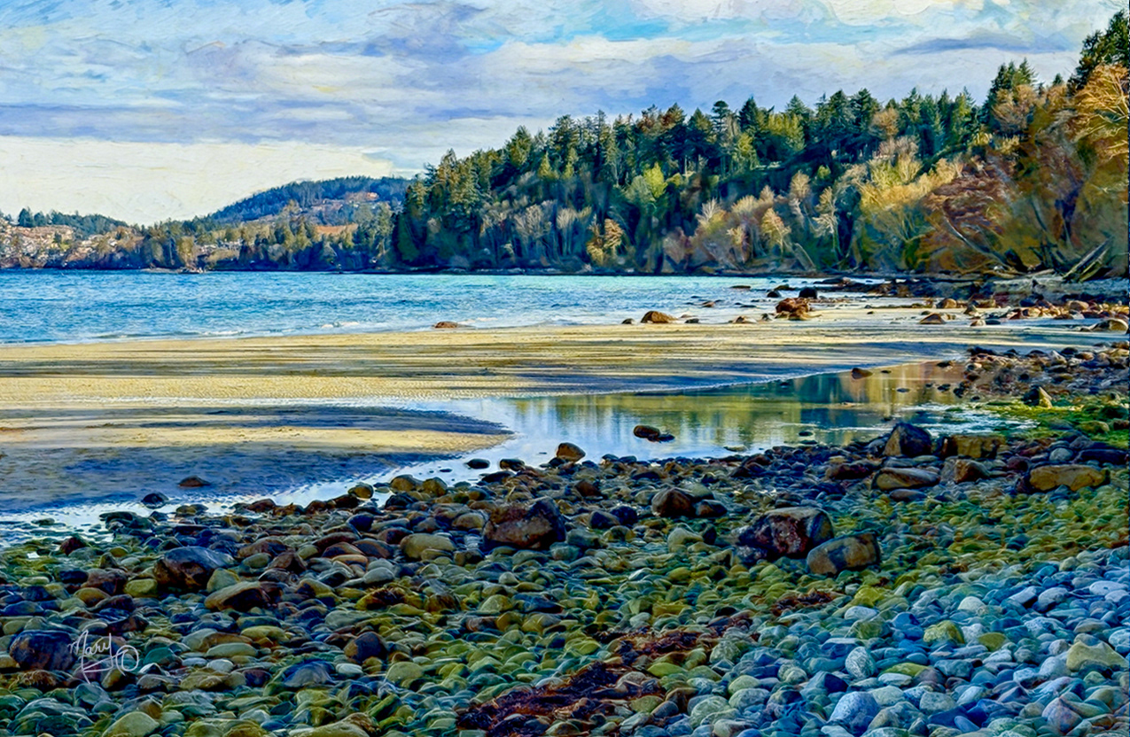 From Icarus Point North Nanaimo VI Series #65