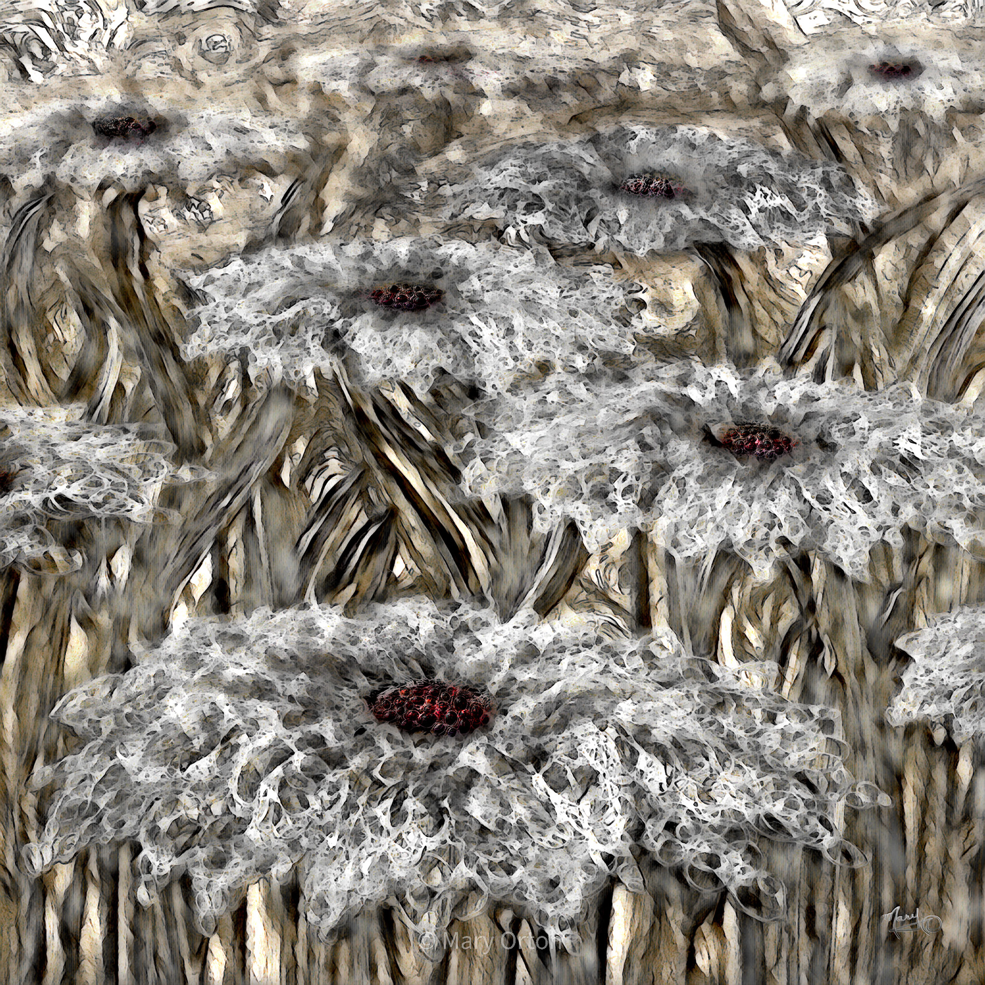 Floral Fantasy