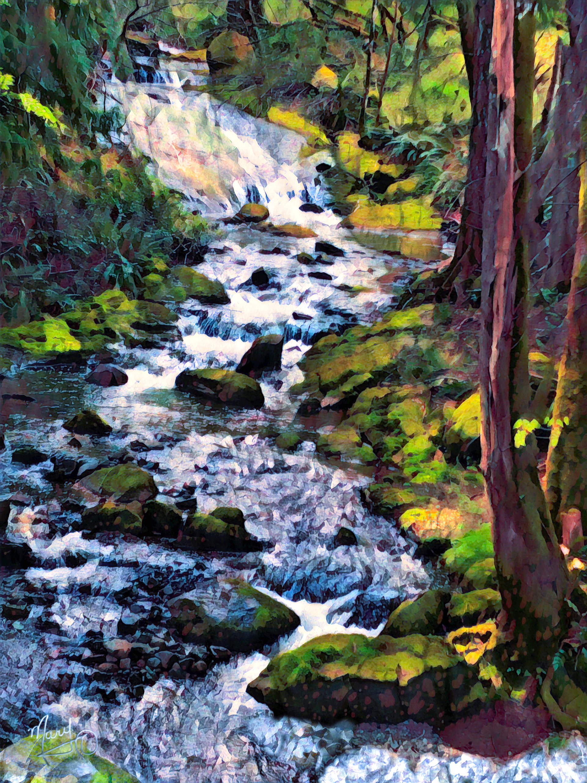 McNeil Creek At Jingle Pot Road   VI Series #26