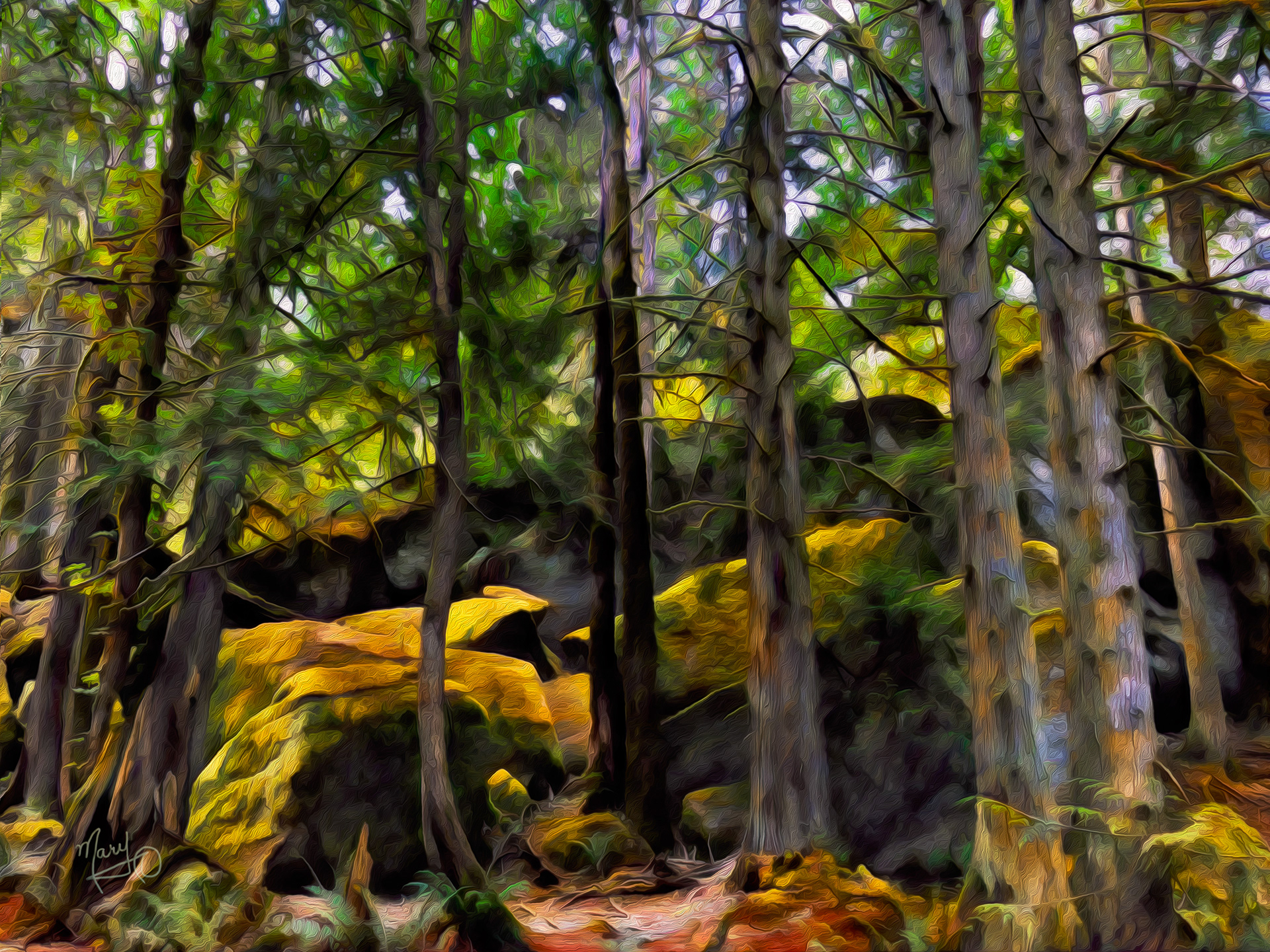 Colliery Dam Park VI Series #37