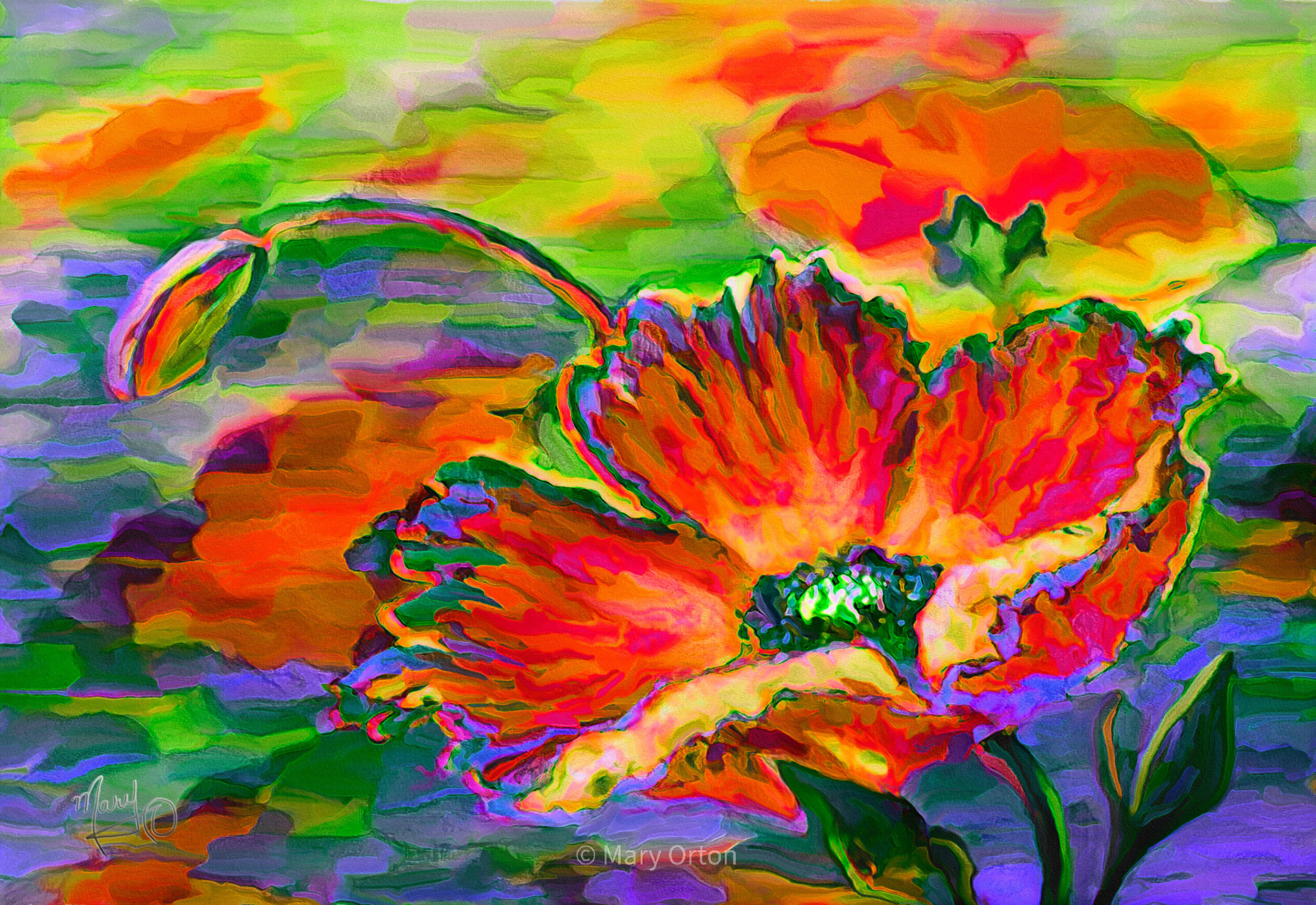 Poppies