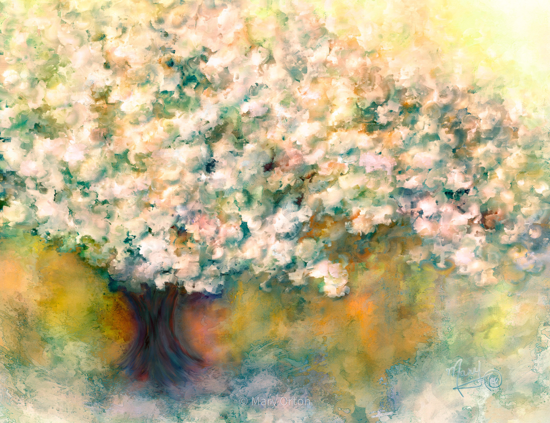 Magnolia