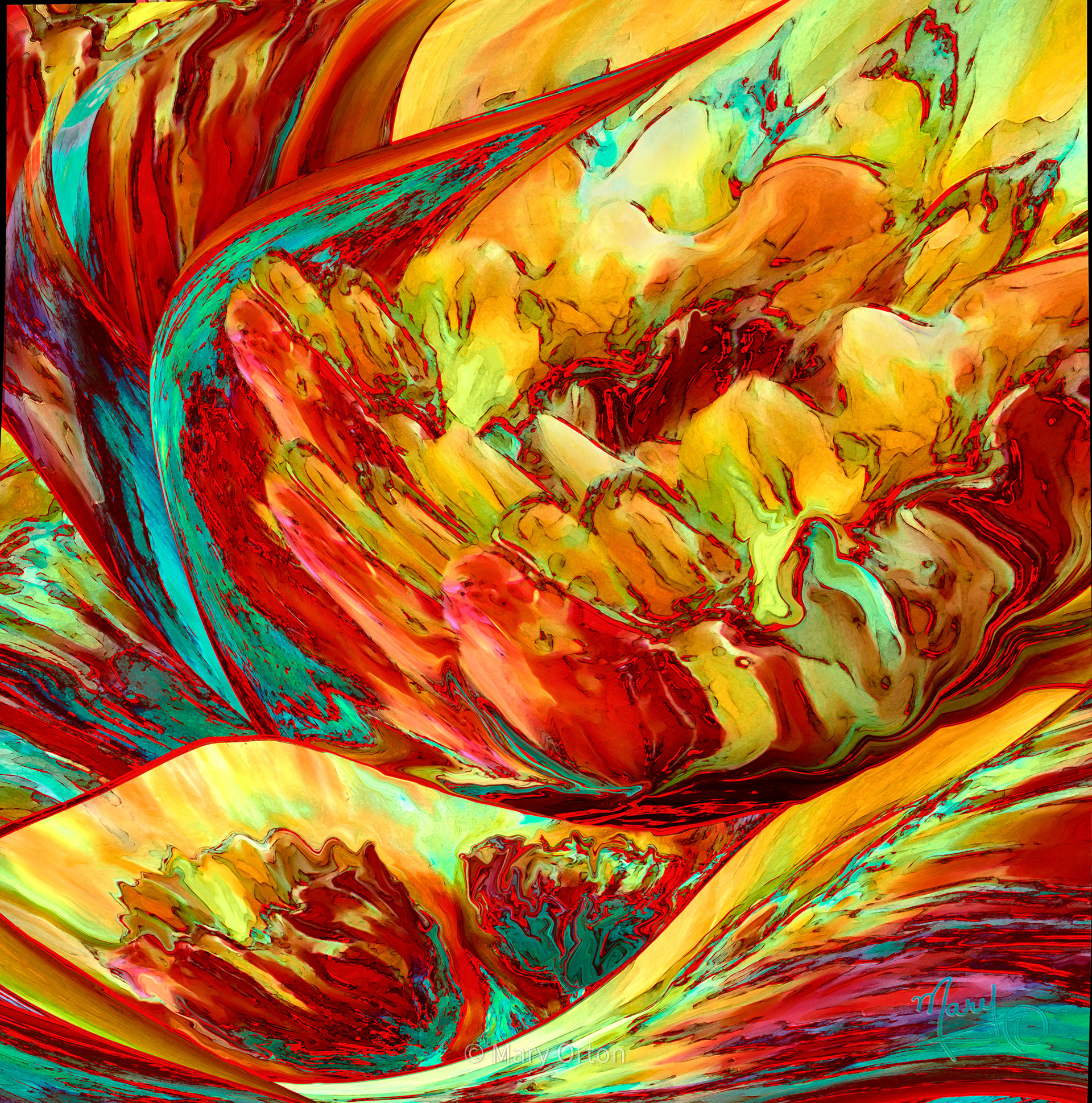 Tulips at Play