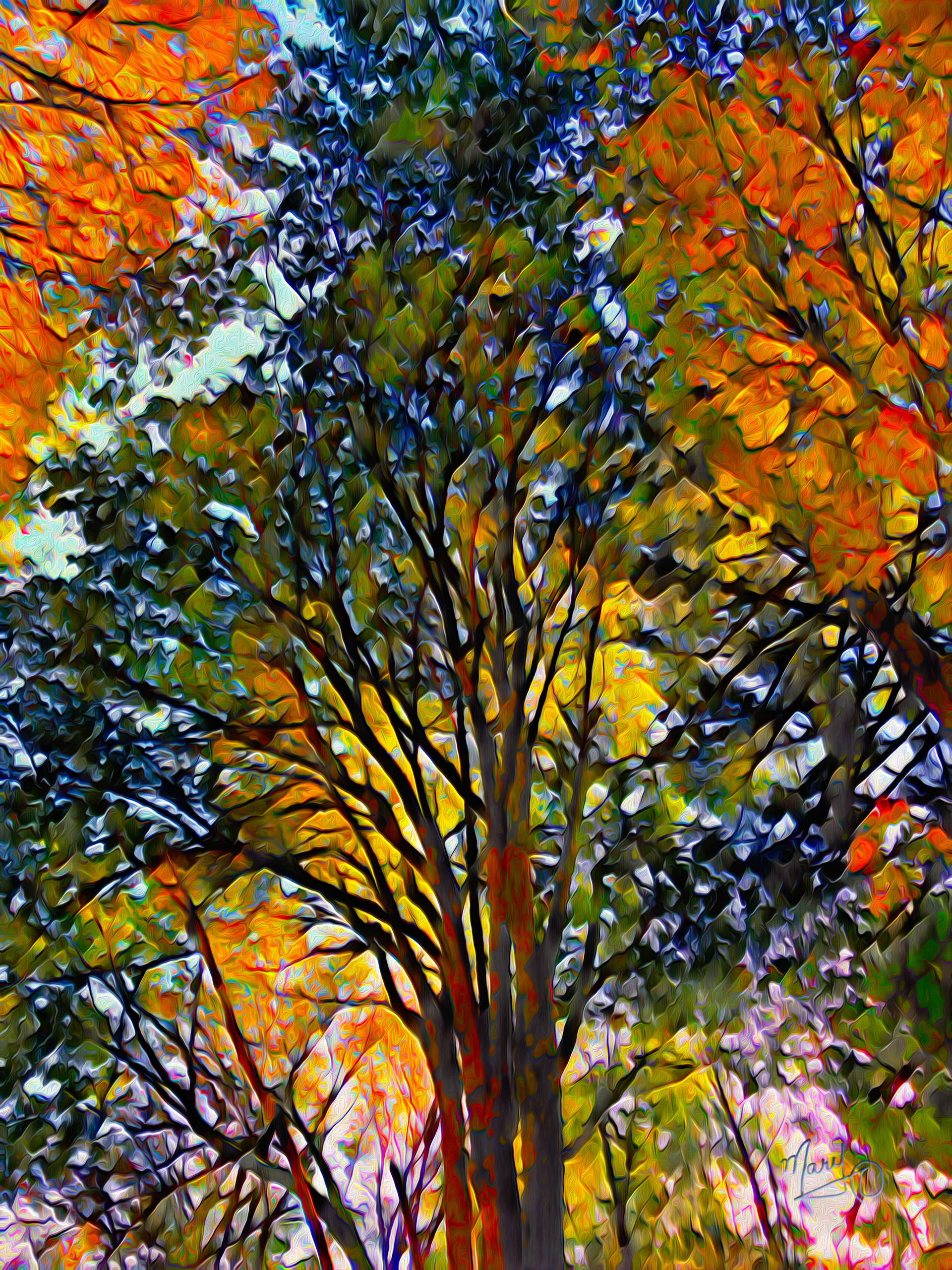 Linley Valley Park VI Series #24