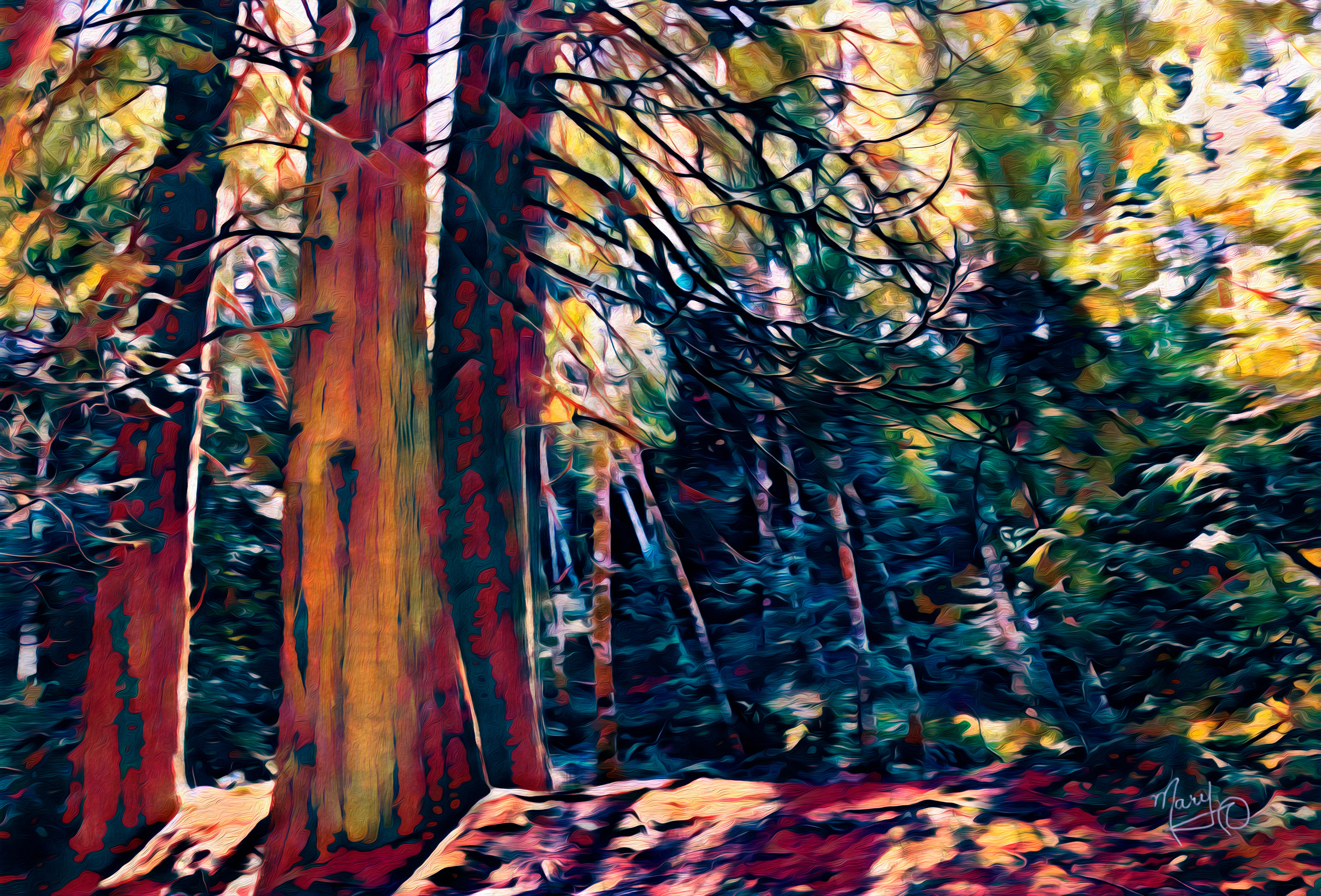 Linley Valley Series #12