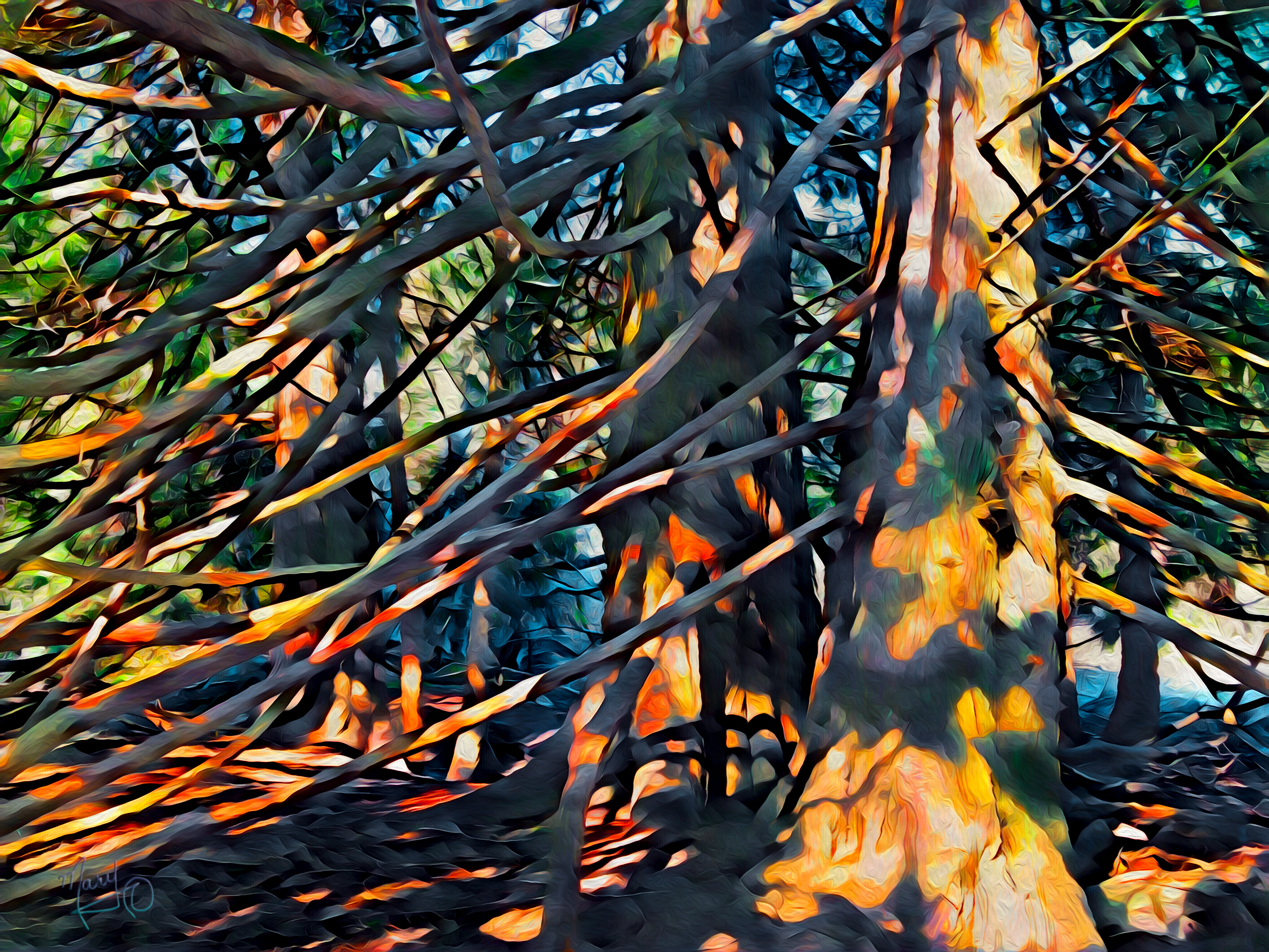 Linley Valley Park VI Series #13