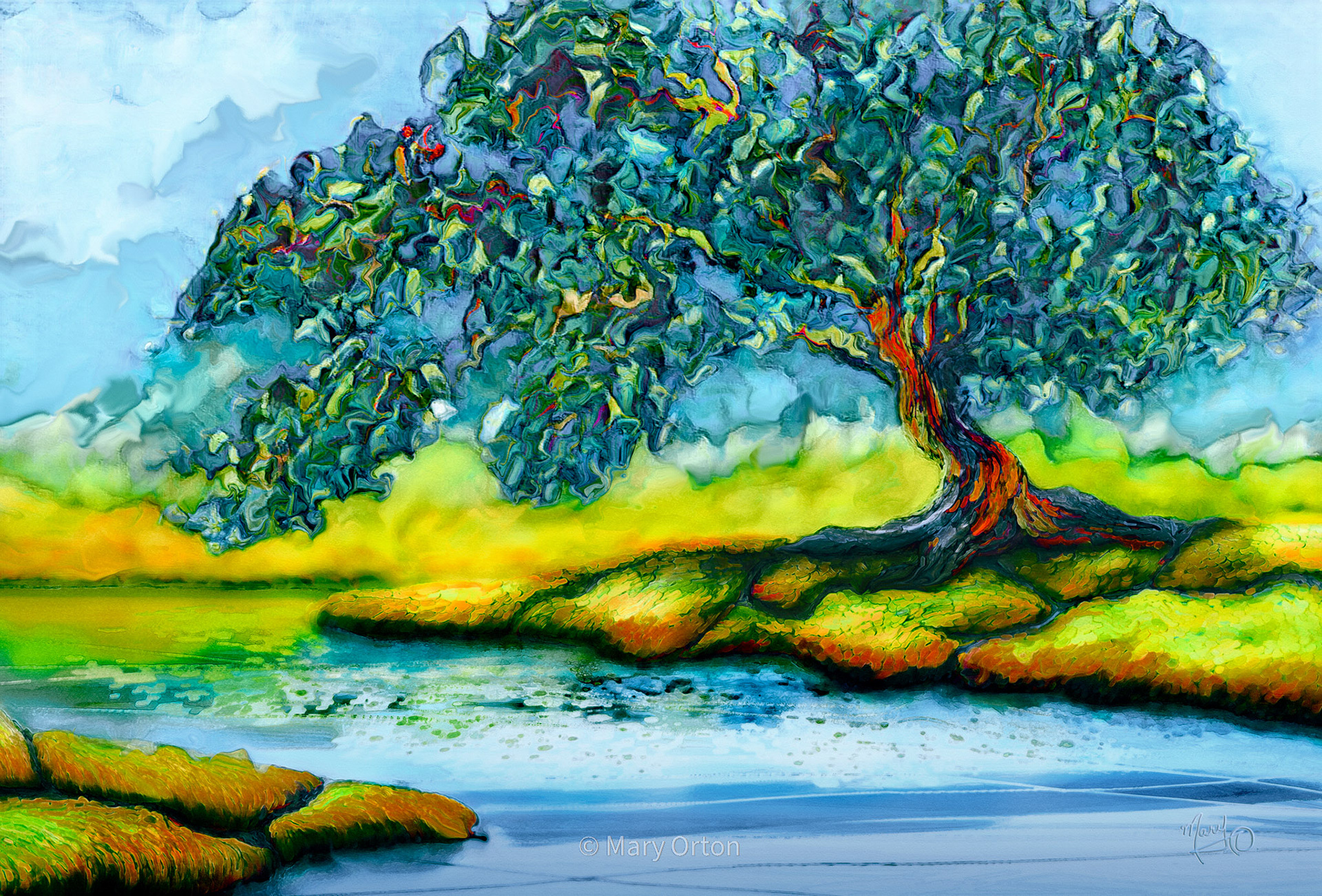 Coastal Arbutus